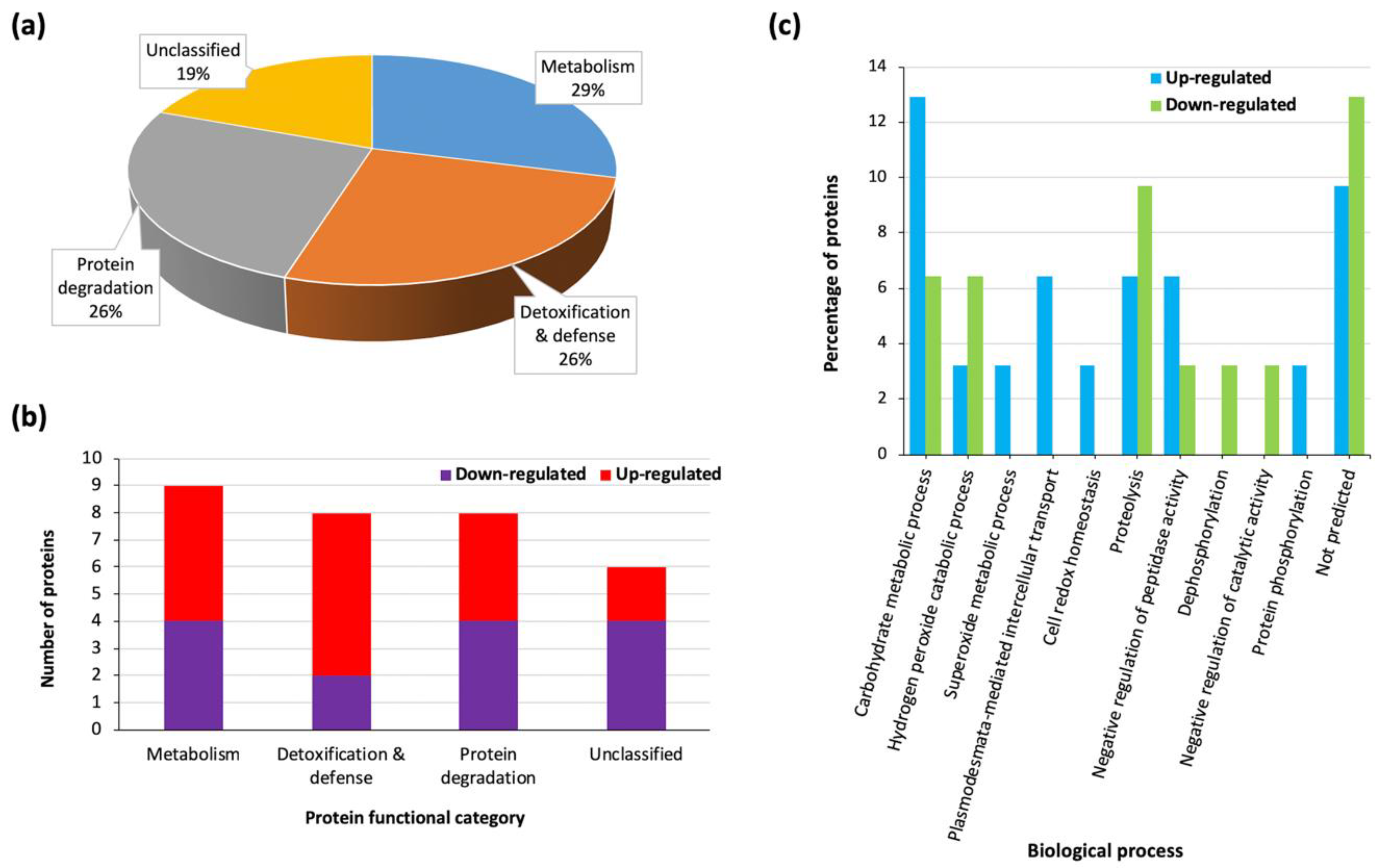 Proteomes 08 00029 g003 Proteomes 08 00029 g003