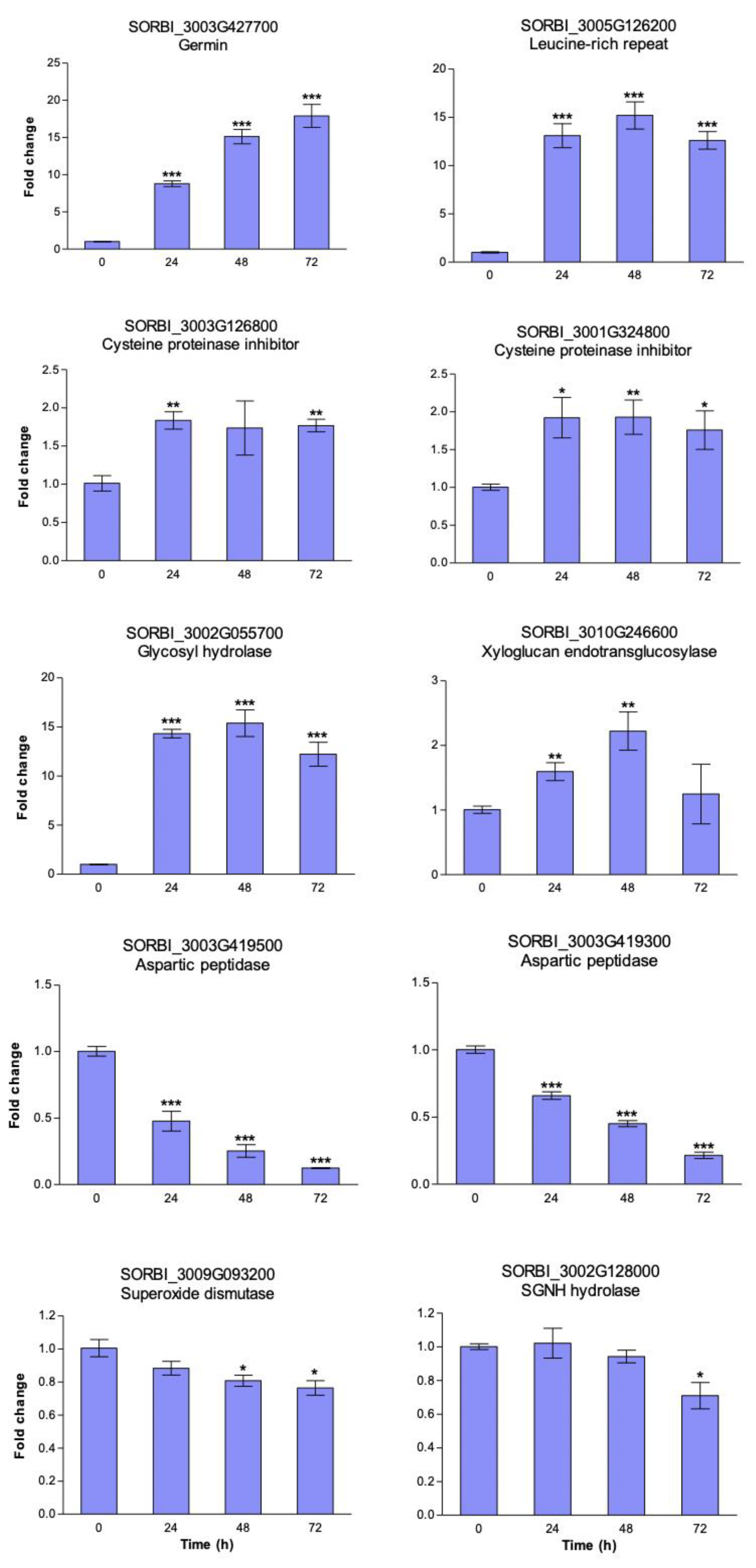 Proteomes 08 00029 g004 Proteomes 08 00029 g004