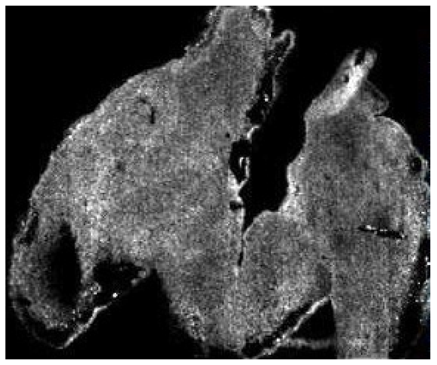 Proteomes 08 00035 g002