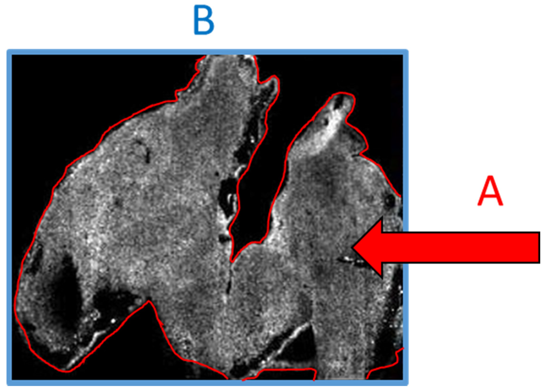Proteomes 08 00035 g003