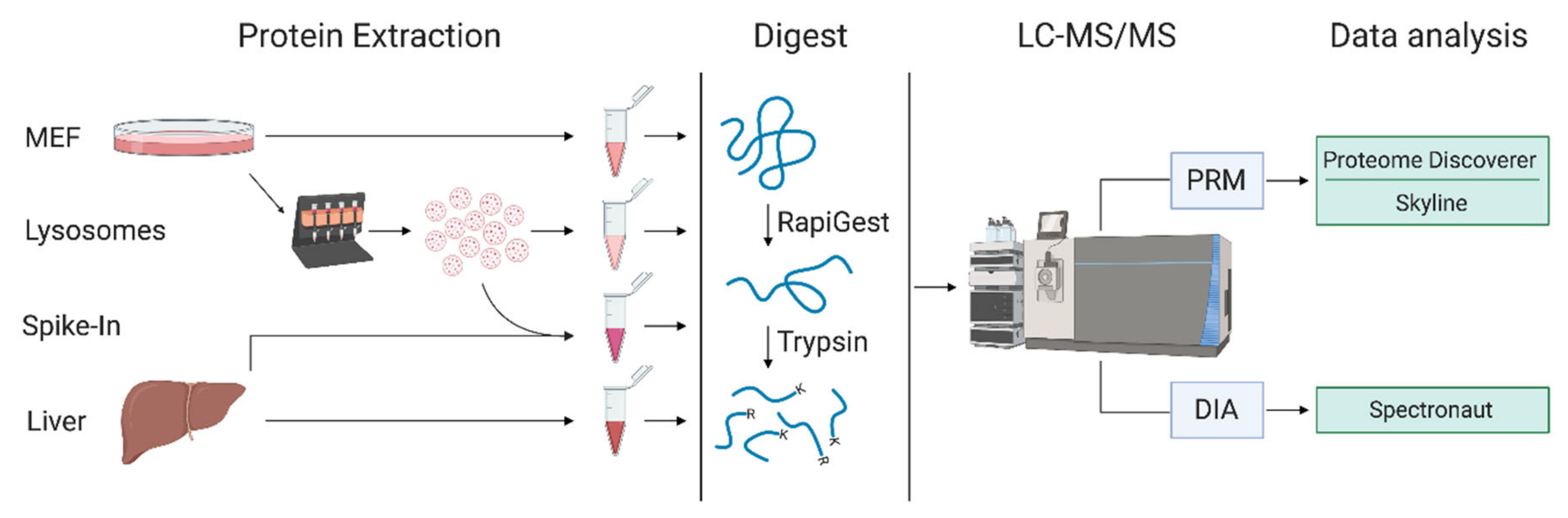 Proteomes 09 00004 g001