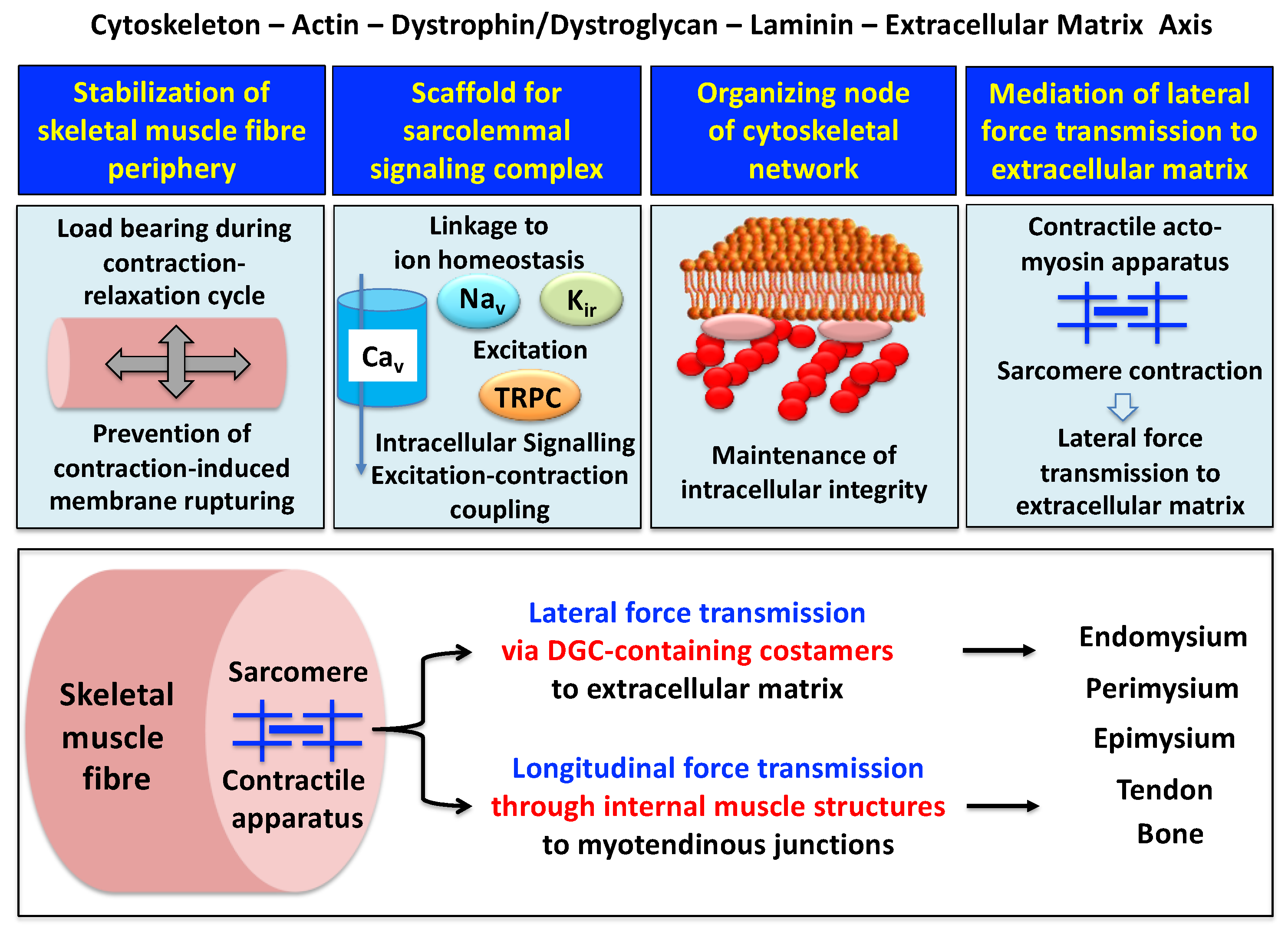 Proteomes 09 00009 g002 Proteomes 09 00009 g002