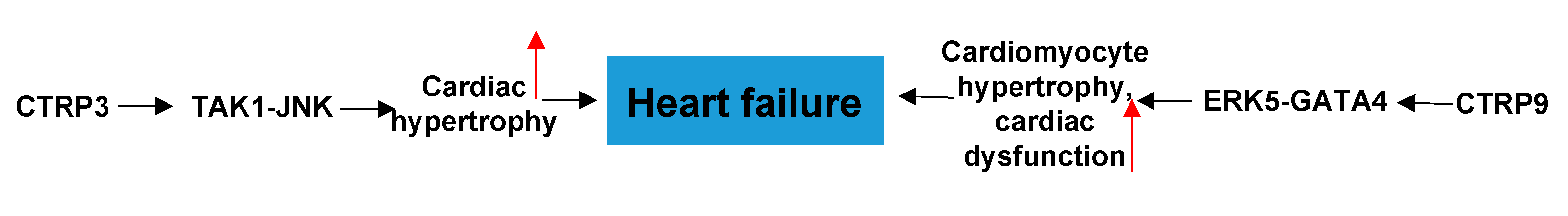 Proteomes 09 00012 g005 Proteomes 09 00012 g005