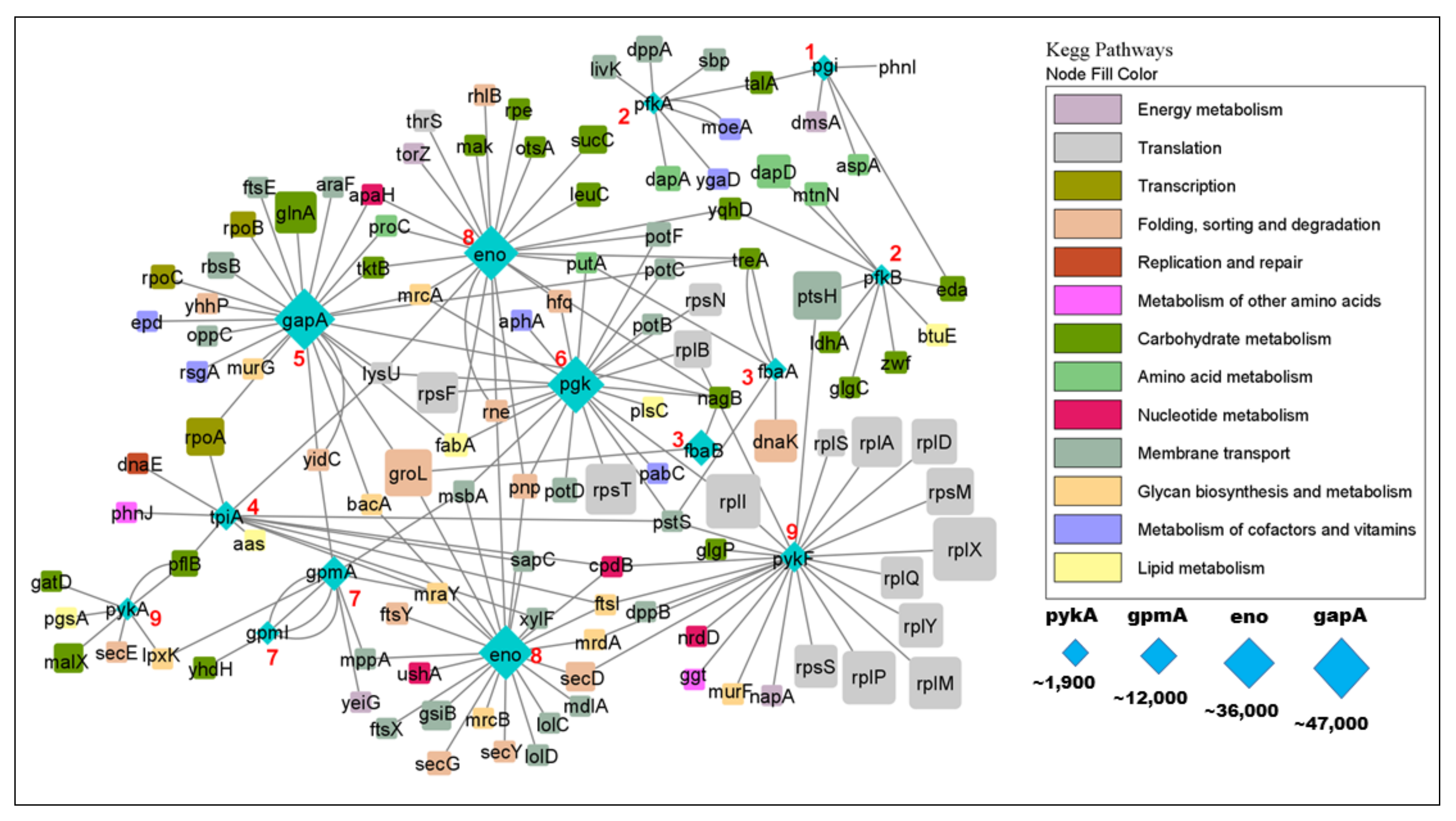Proteomes 09 00016 g007 Proteomes 09 00016 g007