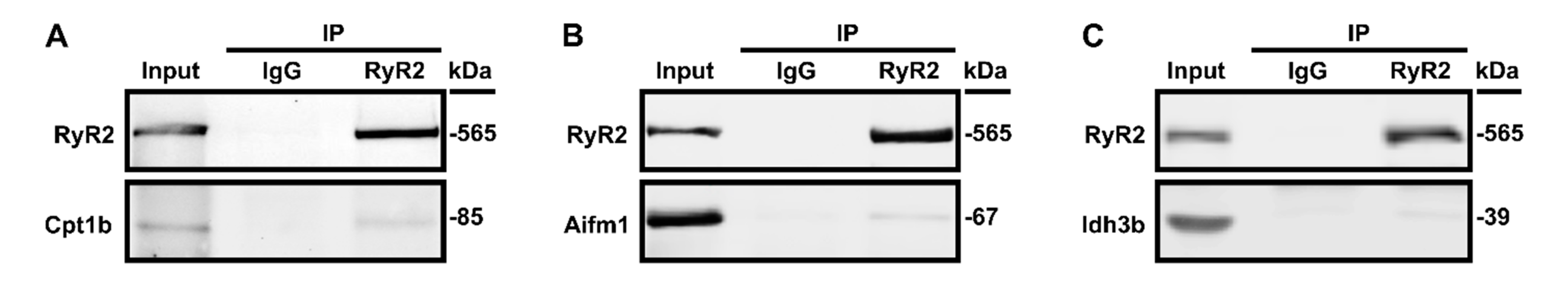 Proteomes 09 00027 g003 Proteomes 09 00027 g003