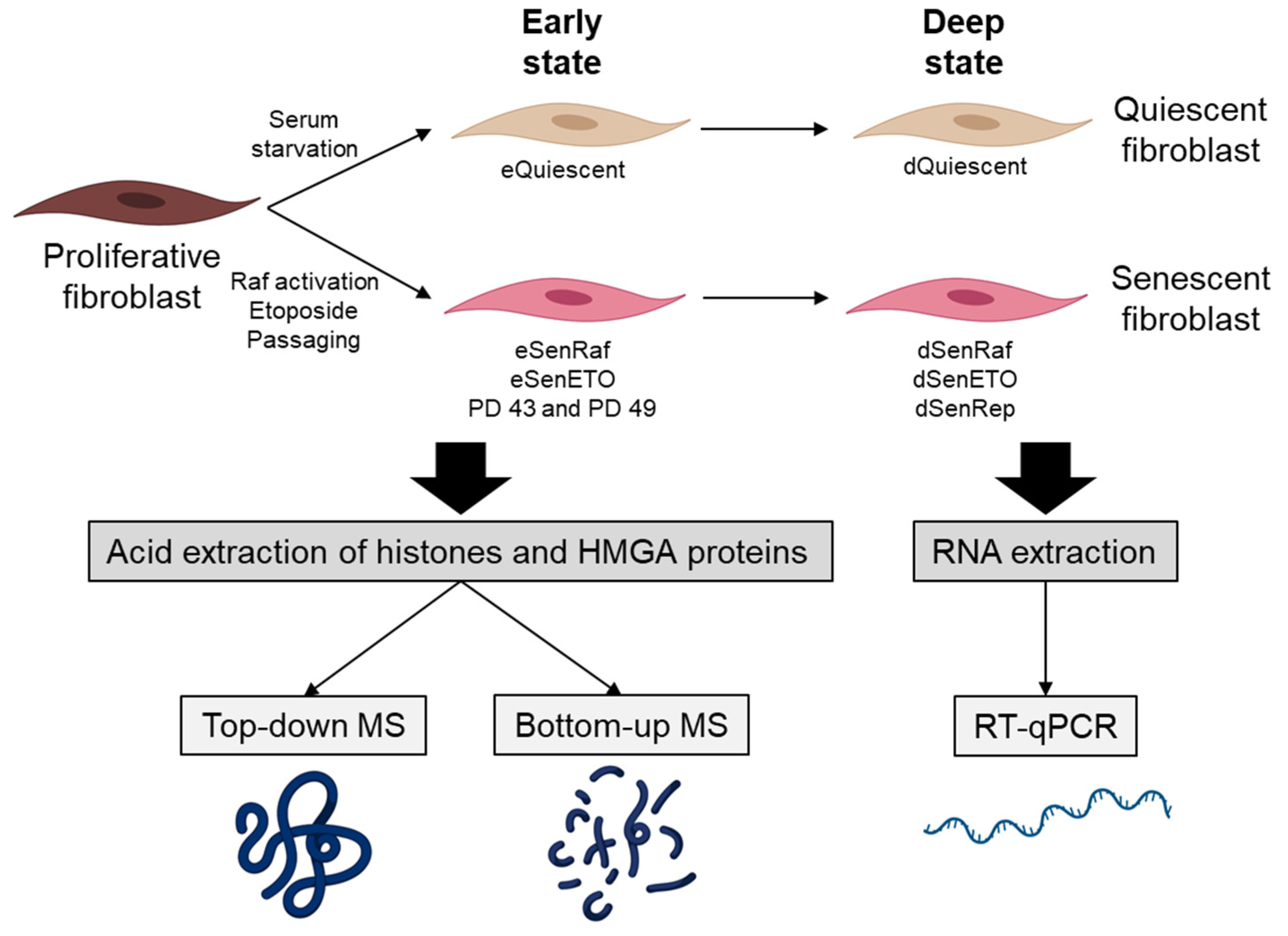 Proteomes 09 00030 g001