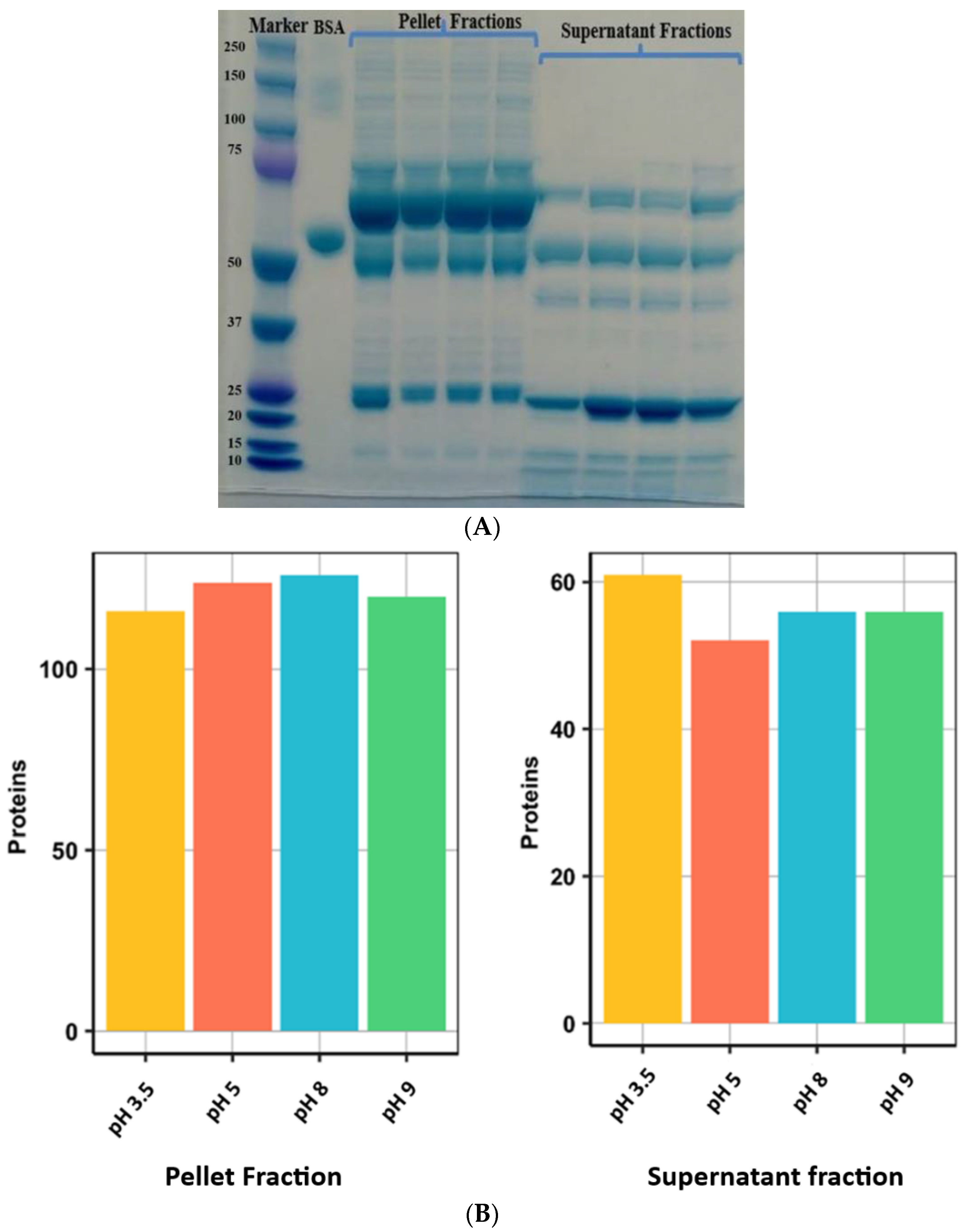Proteomes 10 00009 g004