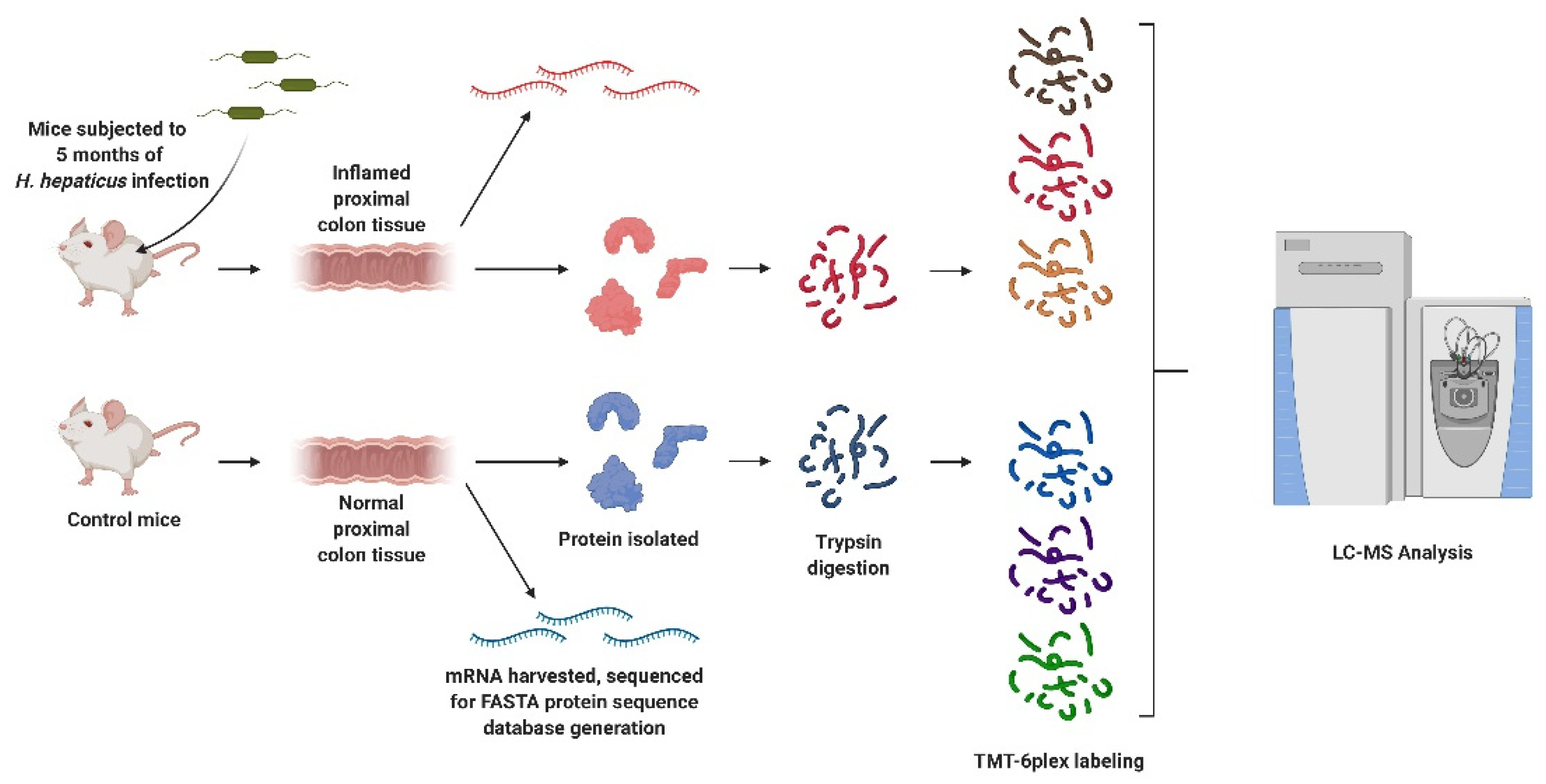 Proteomes 10 00011 sch001 Proteomes 10 00011 sch001