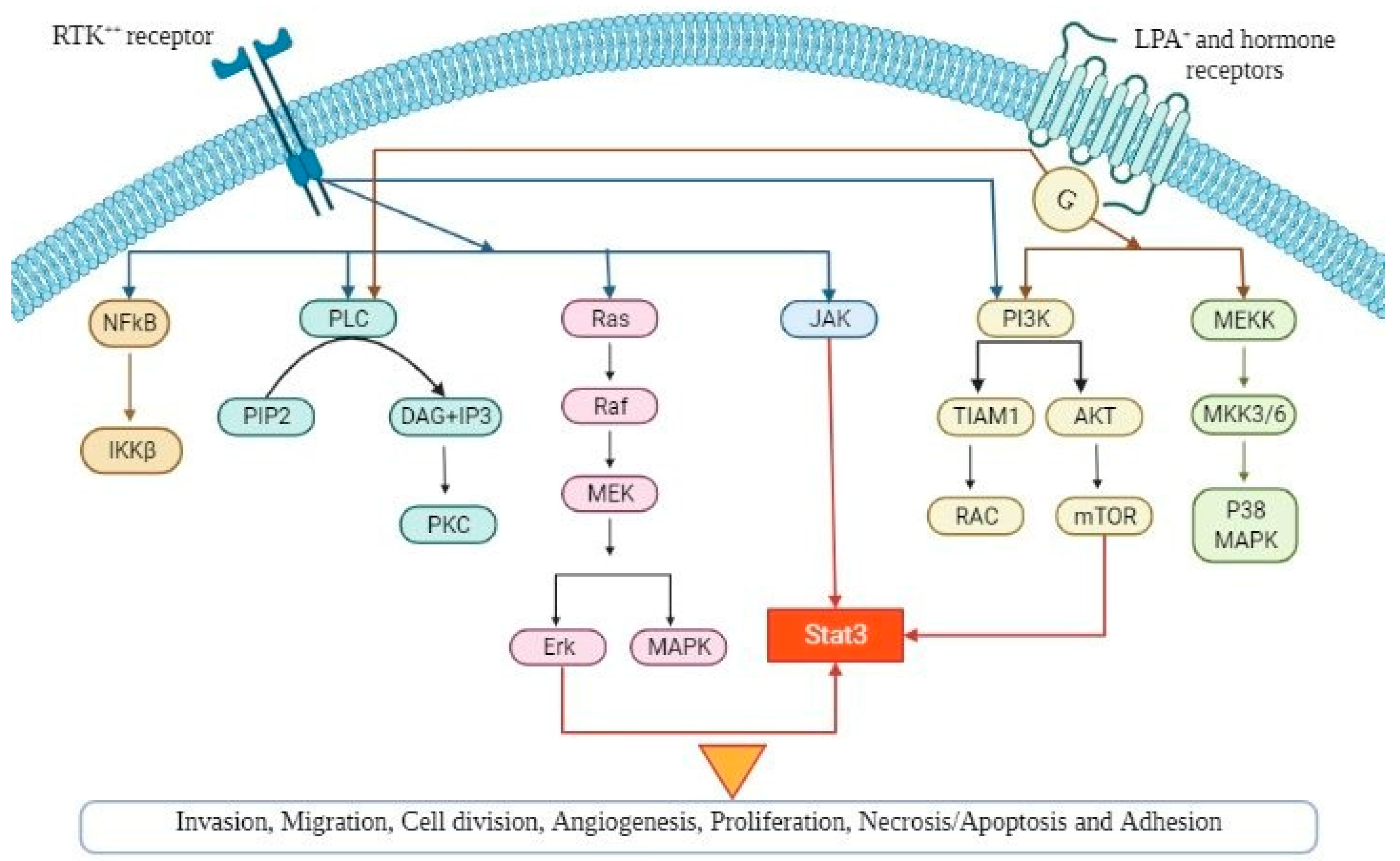 Proteomes 10 00016 g001