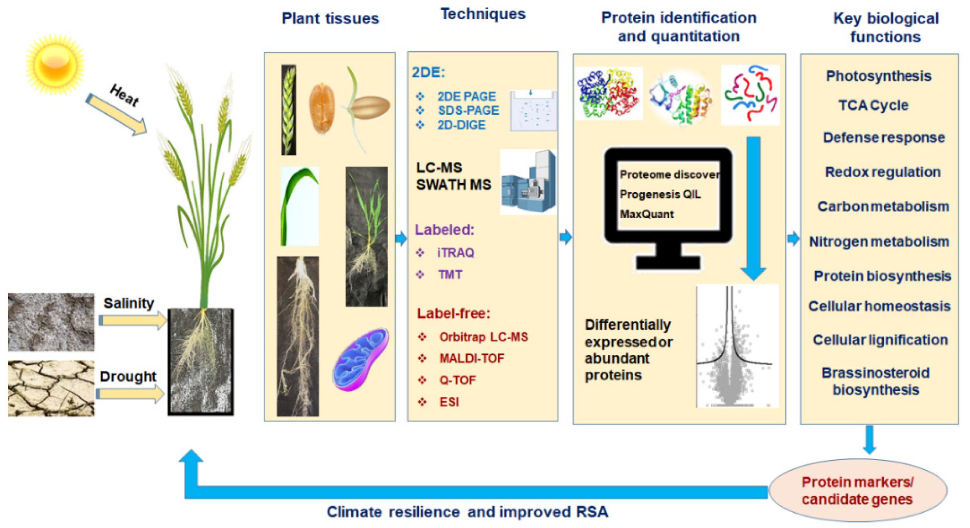 Proteomes 10 00017 g001