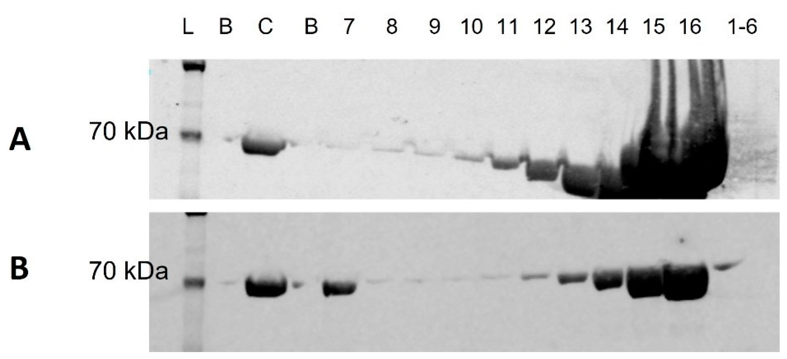 Proteomes 10 00019 g002