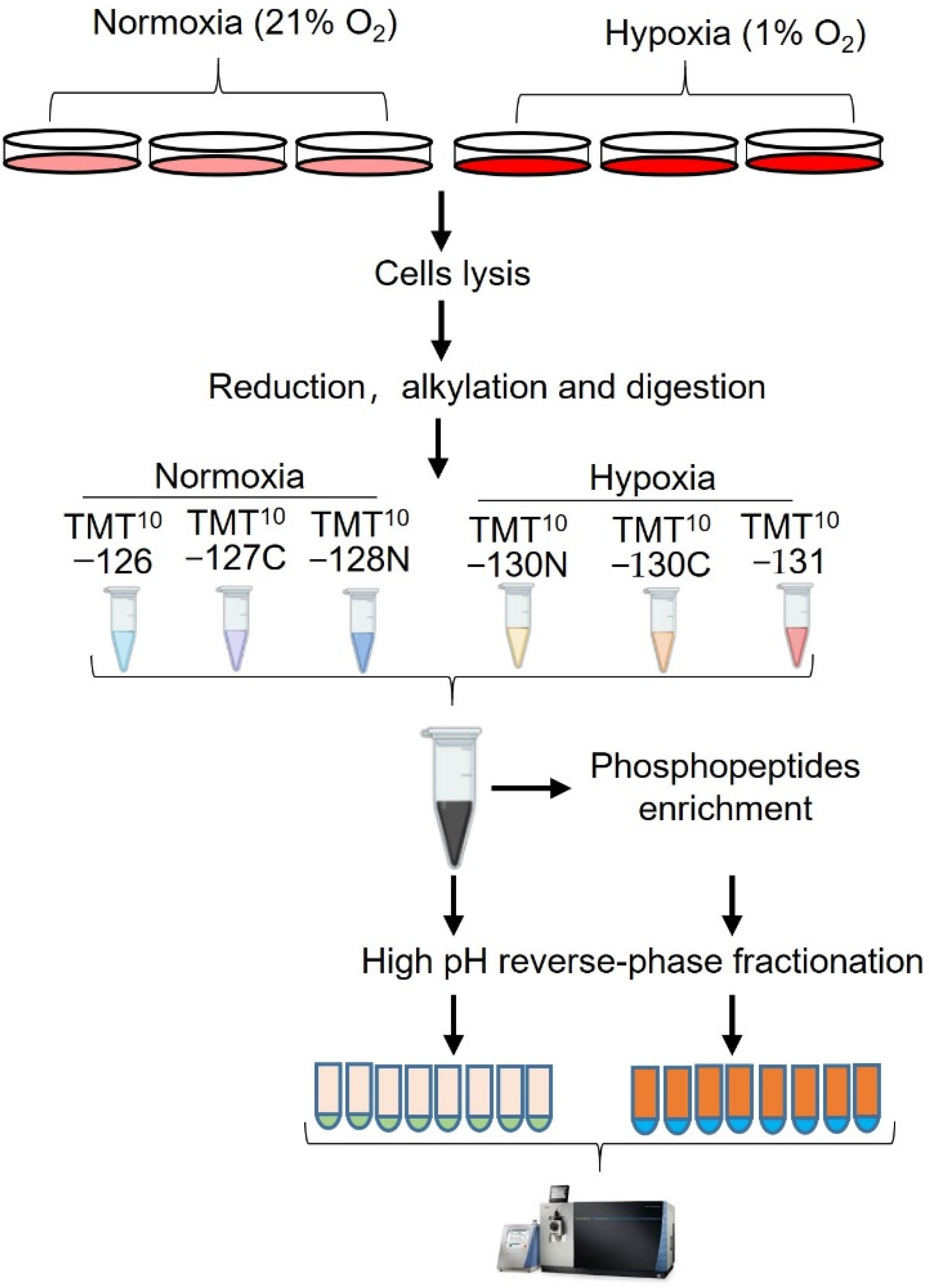 Proteomes 10 00023 g001 550