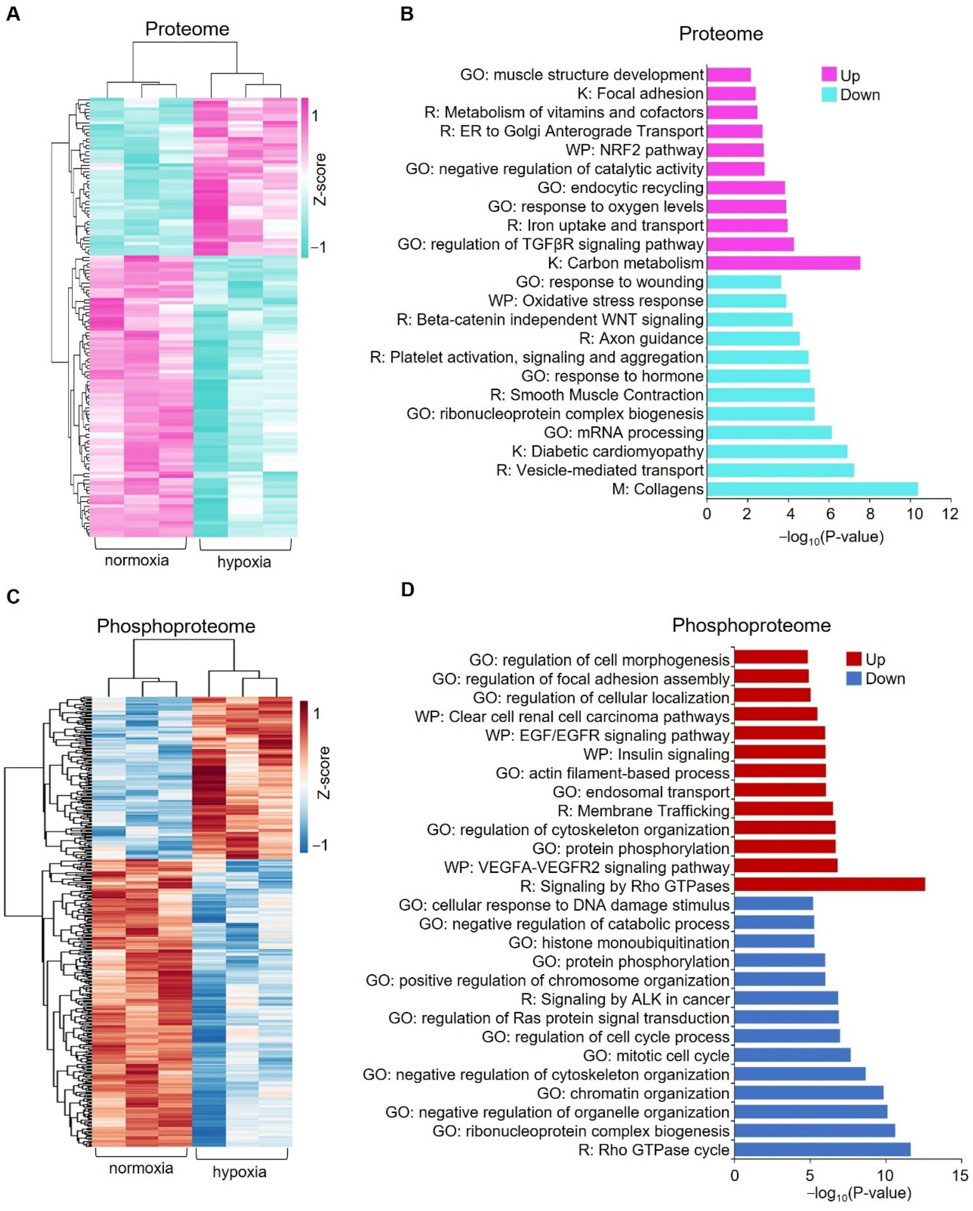 Proteomes 10 00023 g003 550