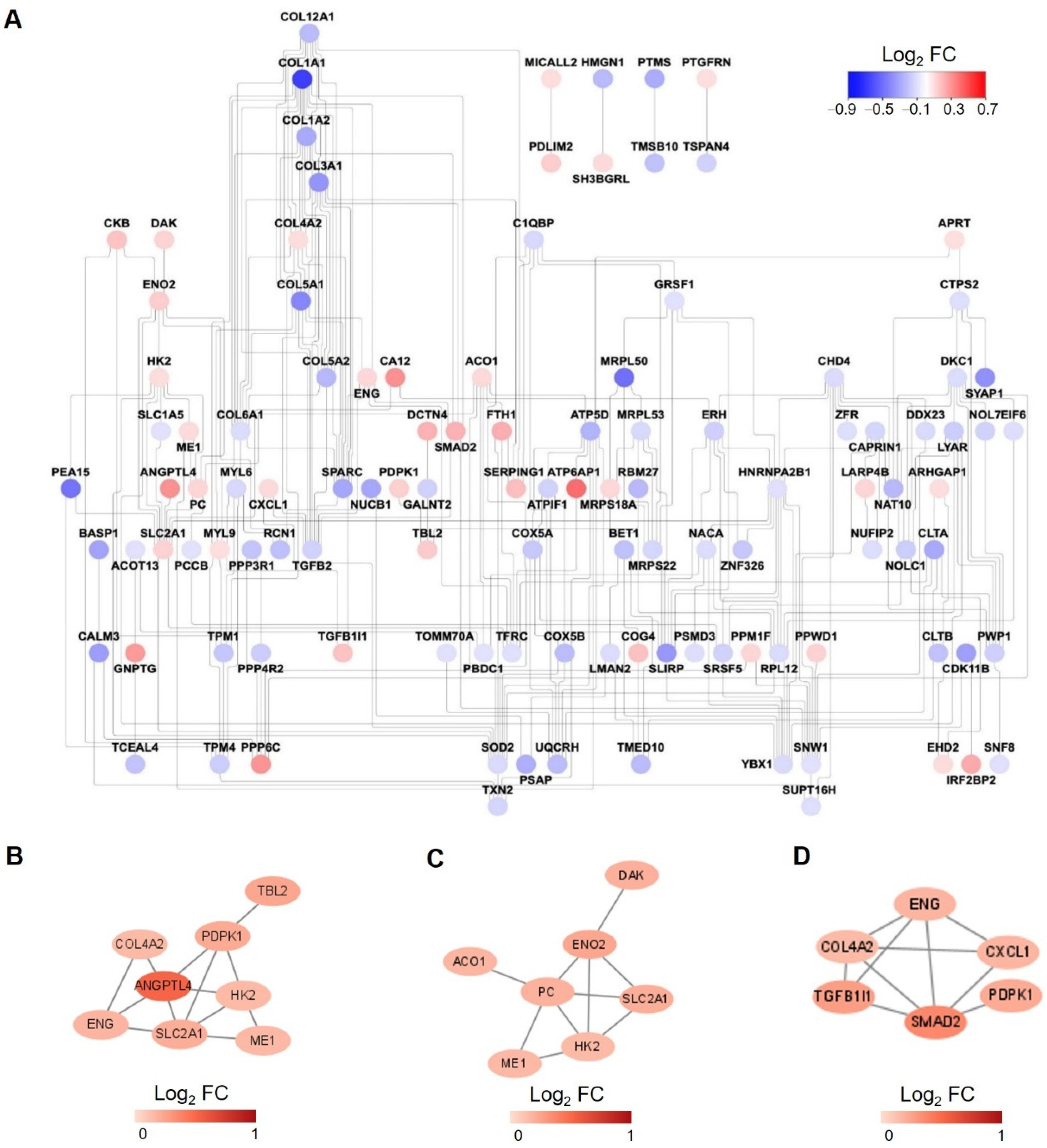 Proteomes 10 00023 g004 550
