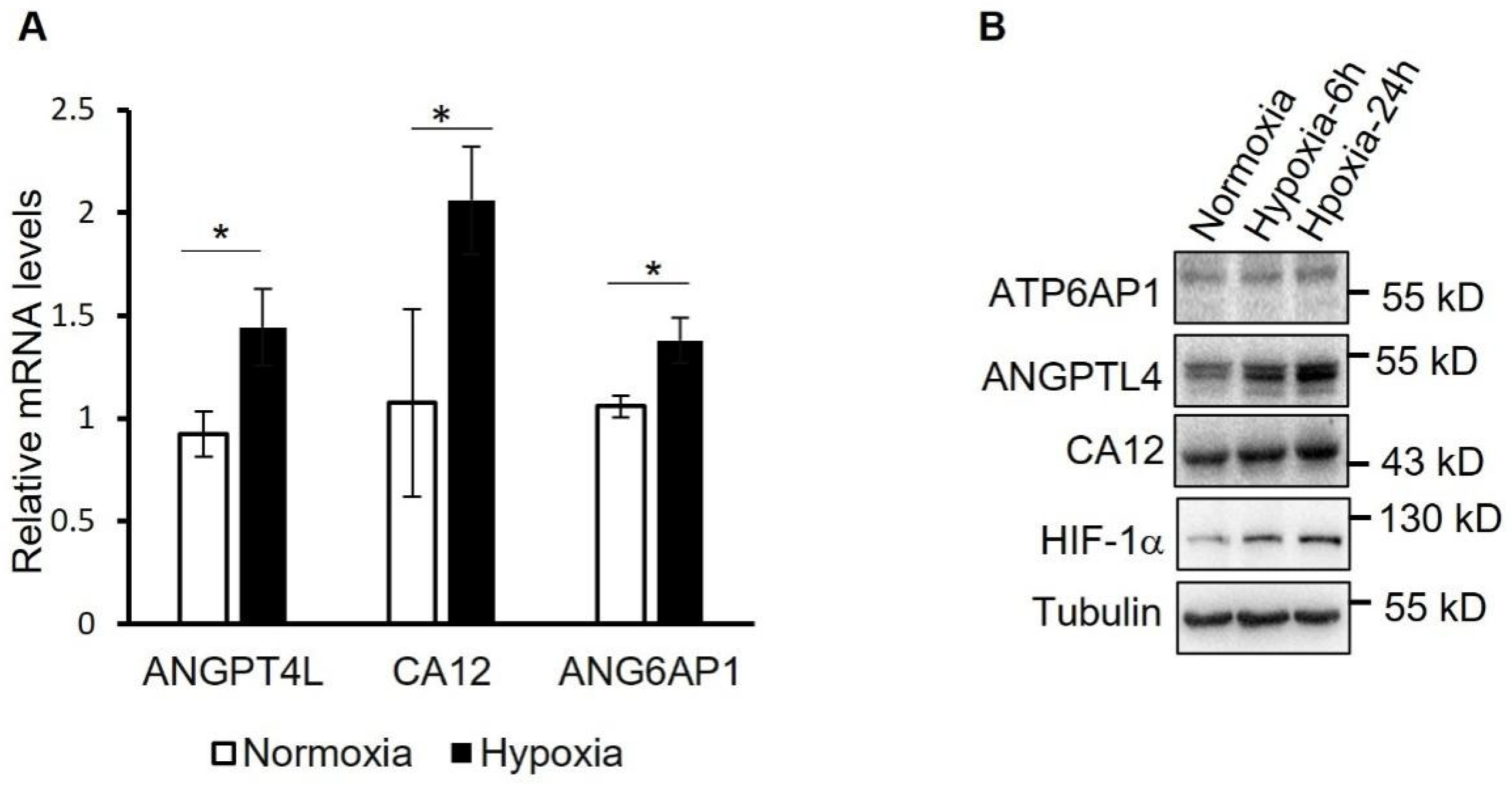 Proteomes 10 00023 g006 550