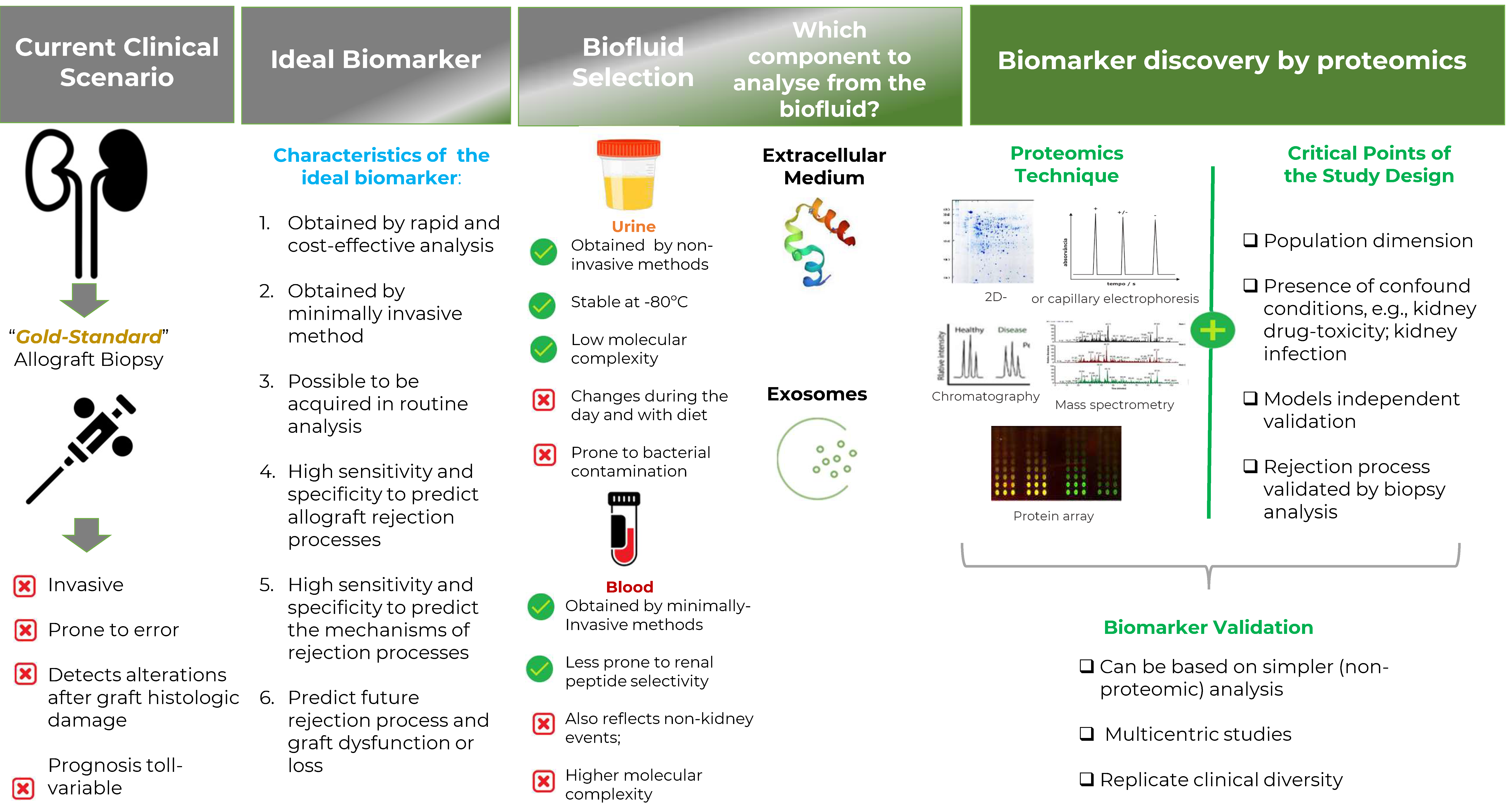 Proteomes 10 00024 g001 Proteomes 10 00024 g001