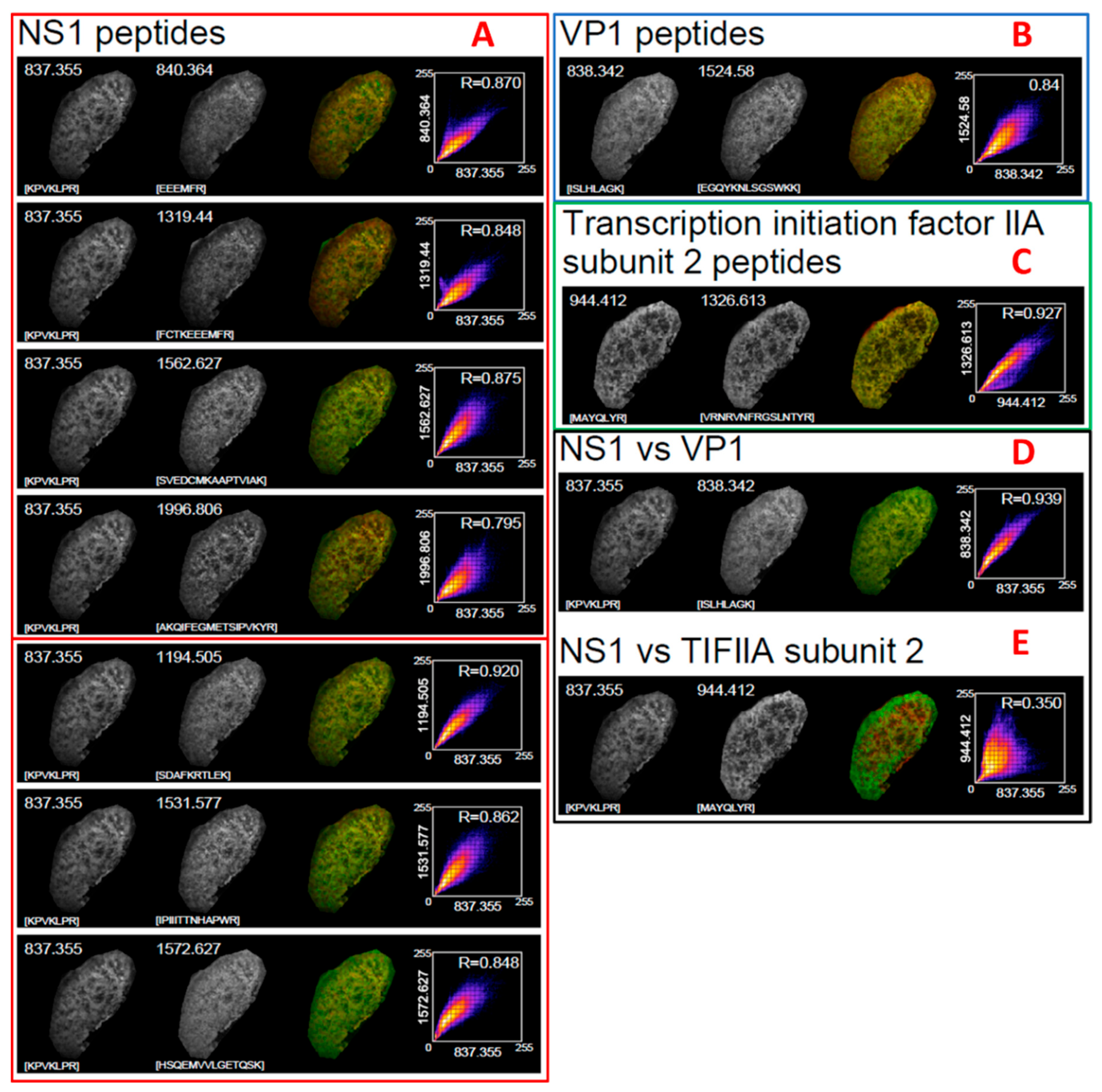 Proteomes 10 00033 g002 550
