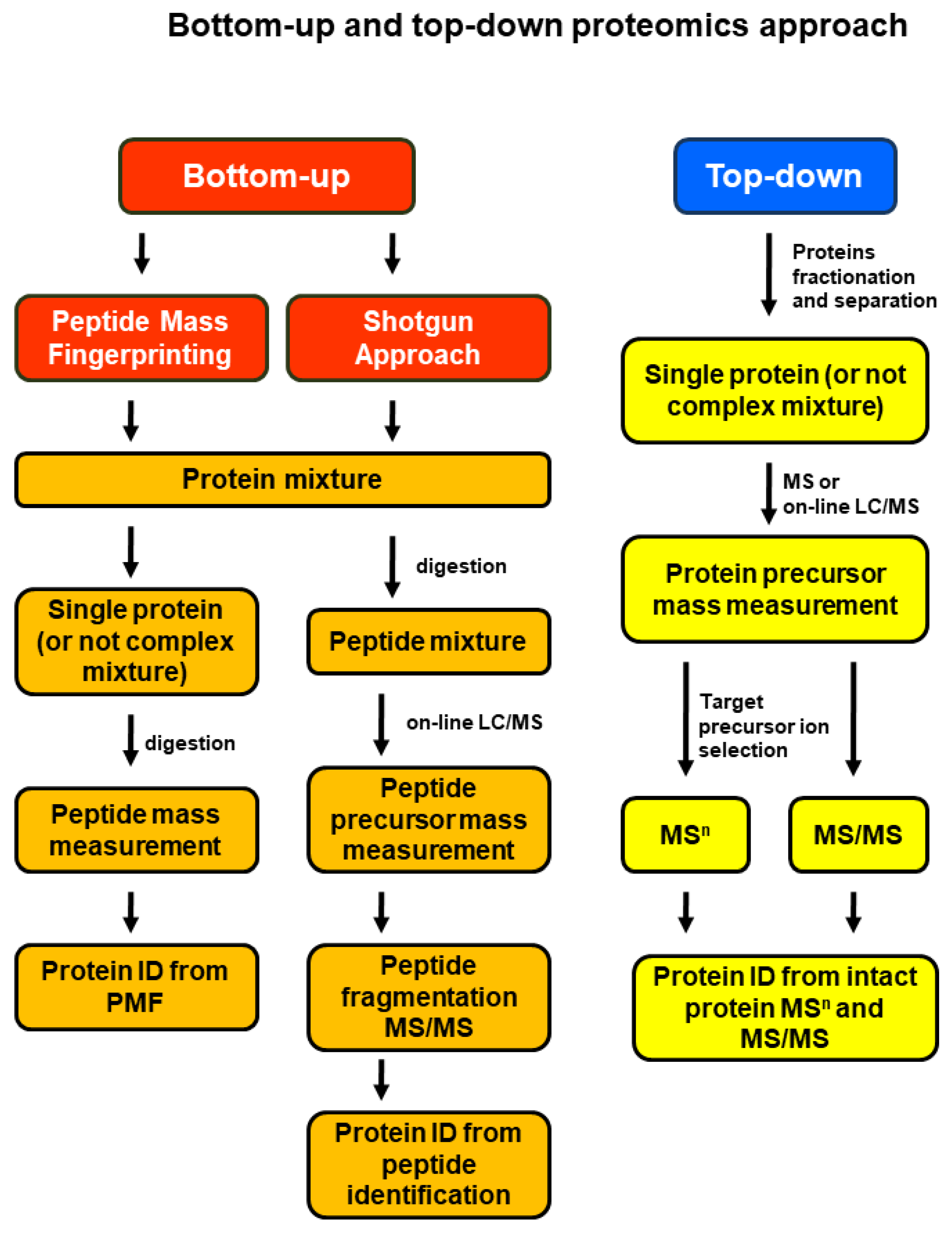 Proteomes 10 00035 g002 Proteomes 10 00035 g002