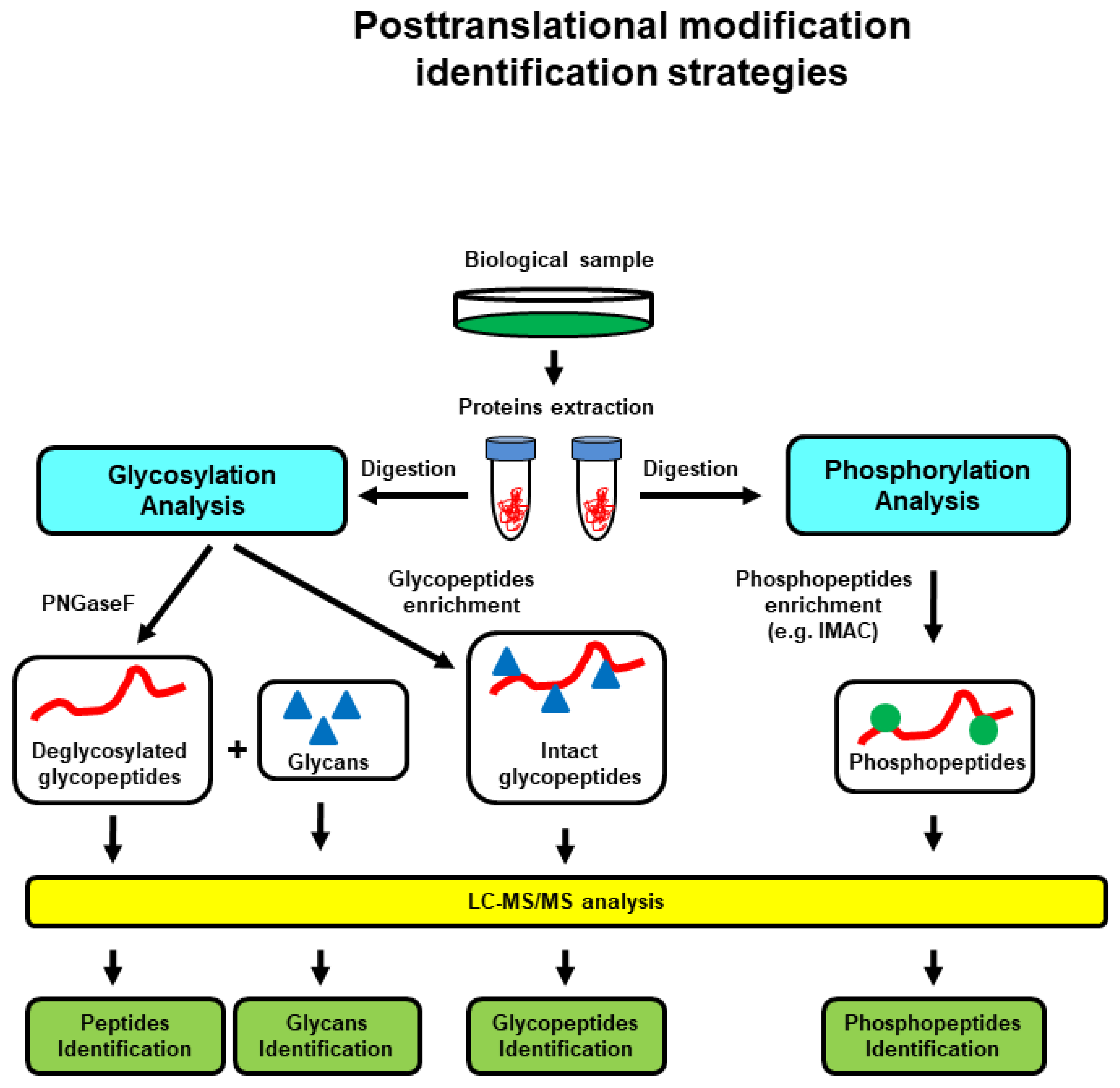 Proteomes 10 00035 g003 Proteomes 10 00035 g003