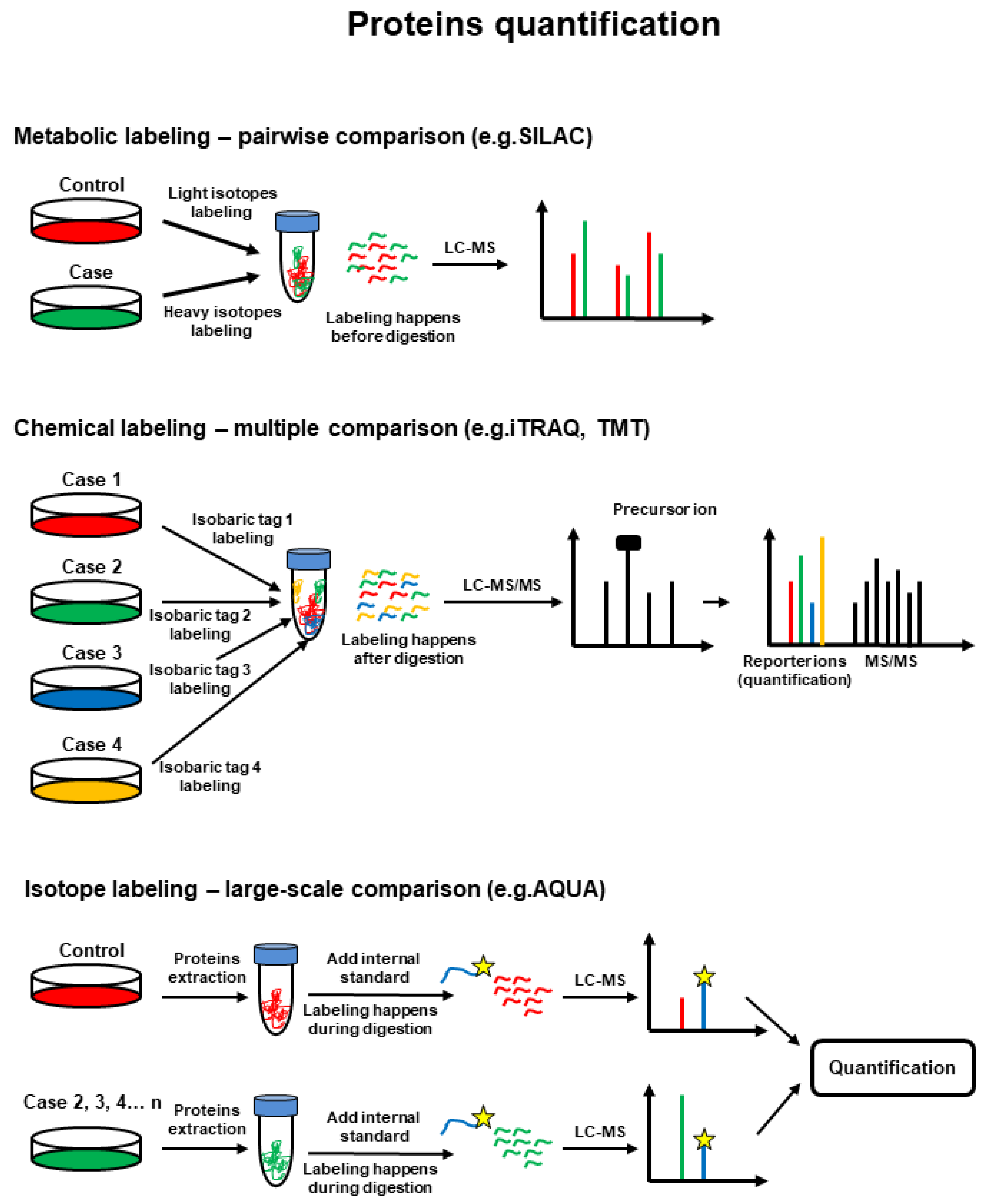 Proteomes 10 00035 g004 Proteomes 10 00035 g004