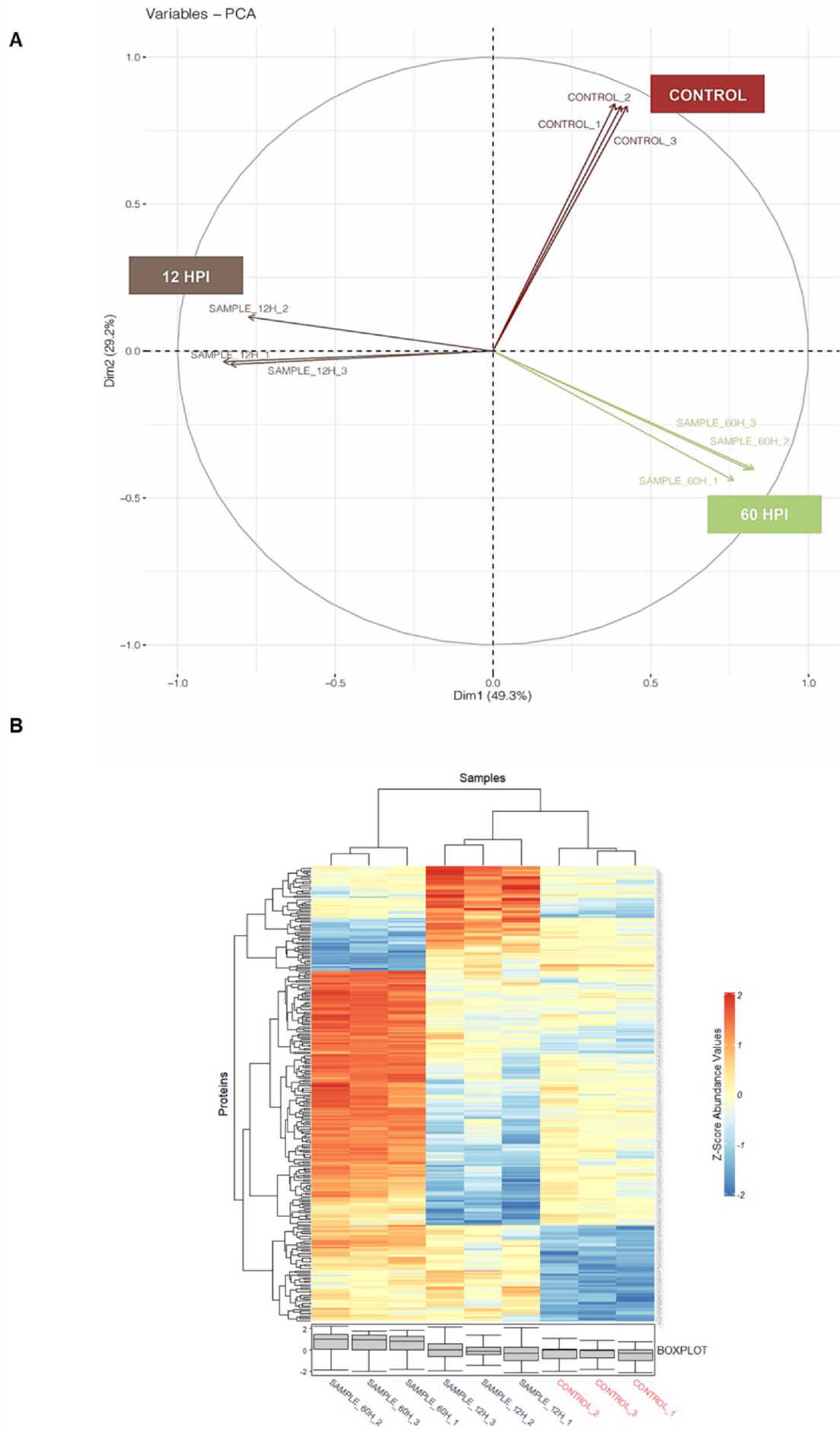 Proteomes 10 00038 g002