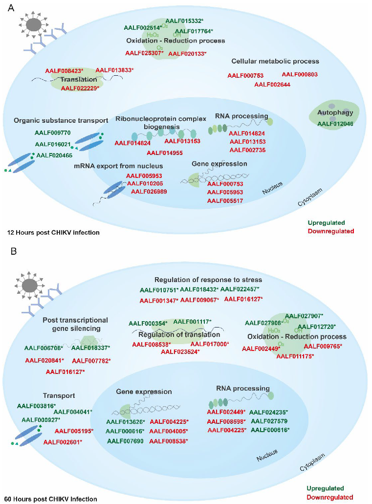 Proteomes 10 00038 g005