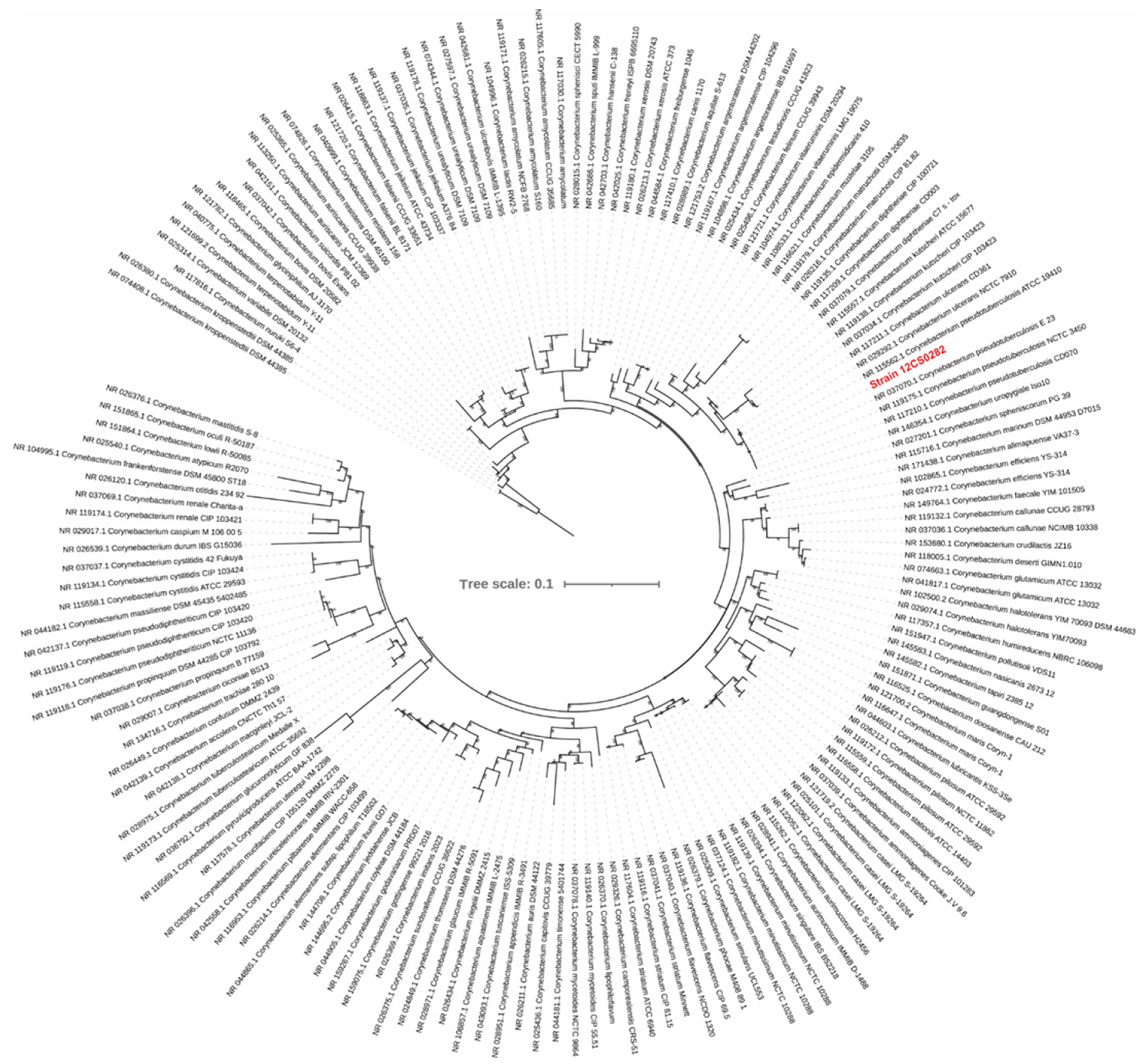 Proteomes 10 00039 g002 Proteomes 10 00039 g002
