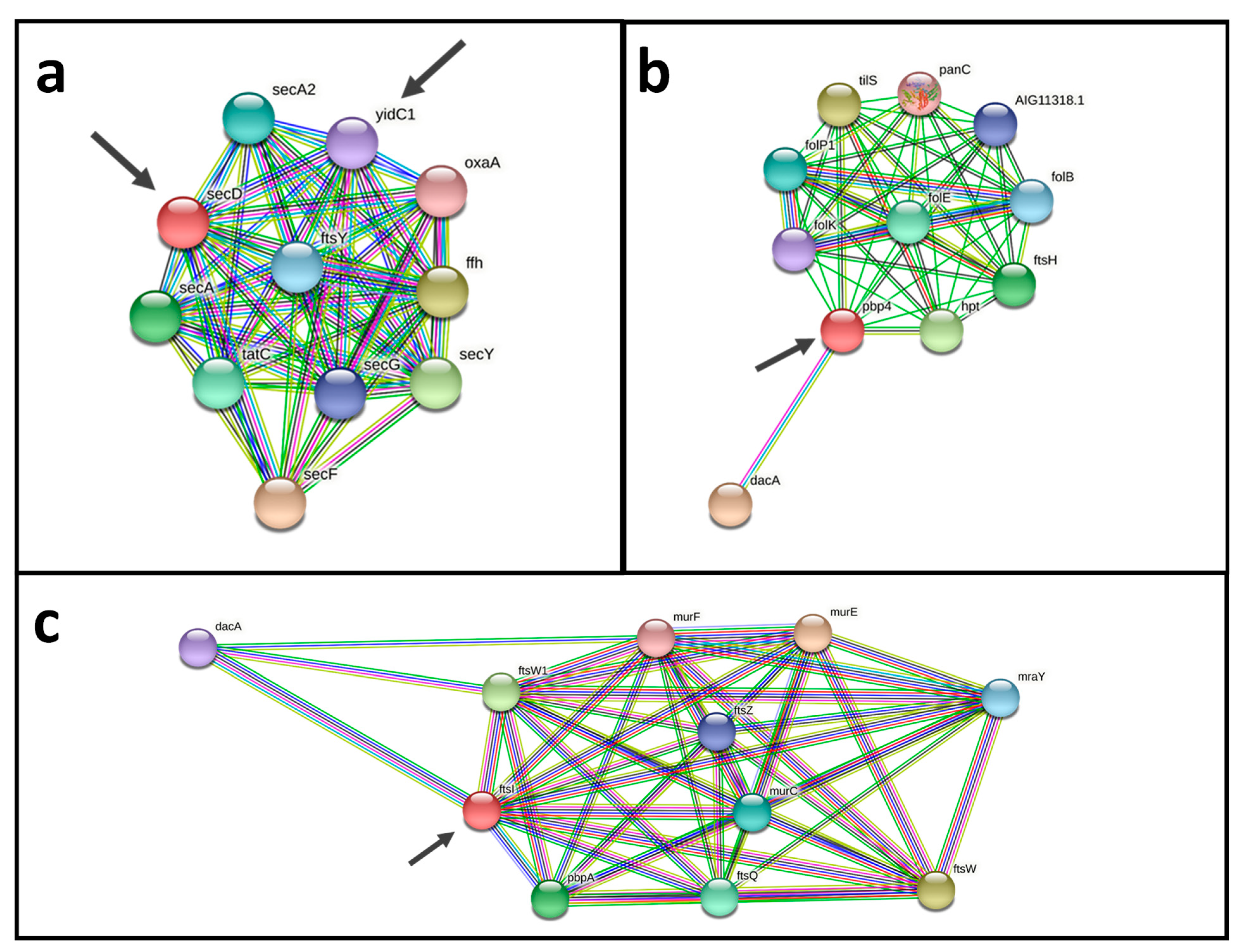 Proteomes 10 00039 g006 Proteomes 10 00039 g006