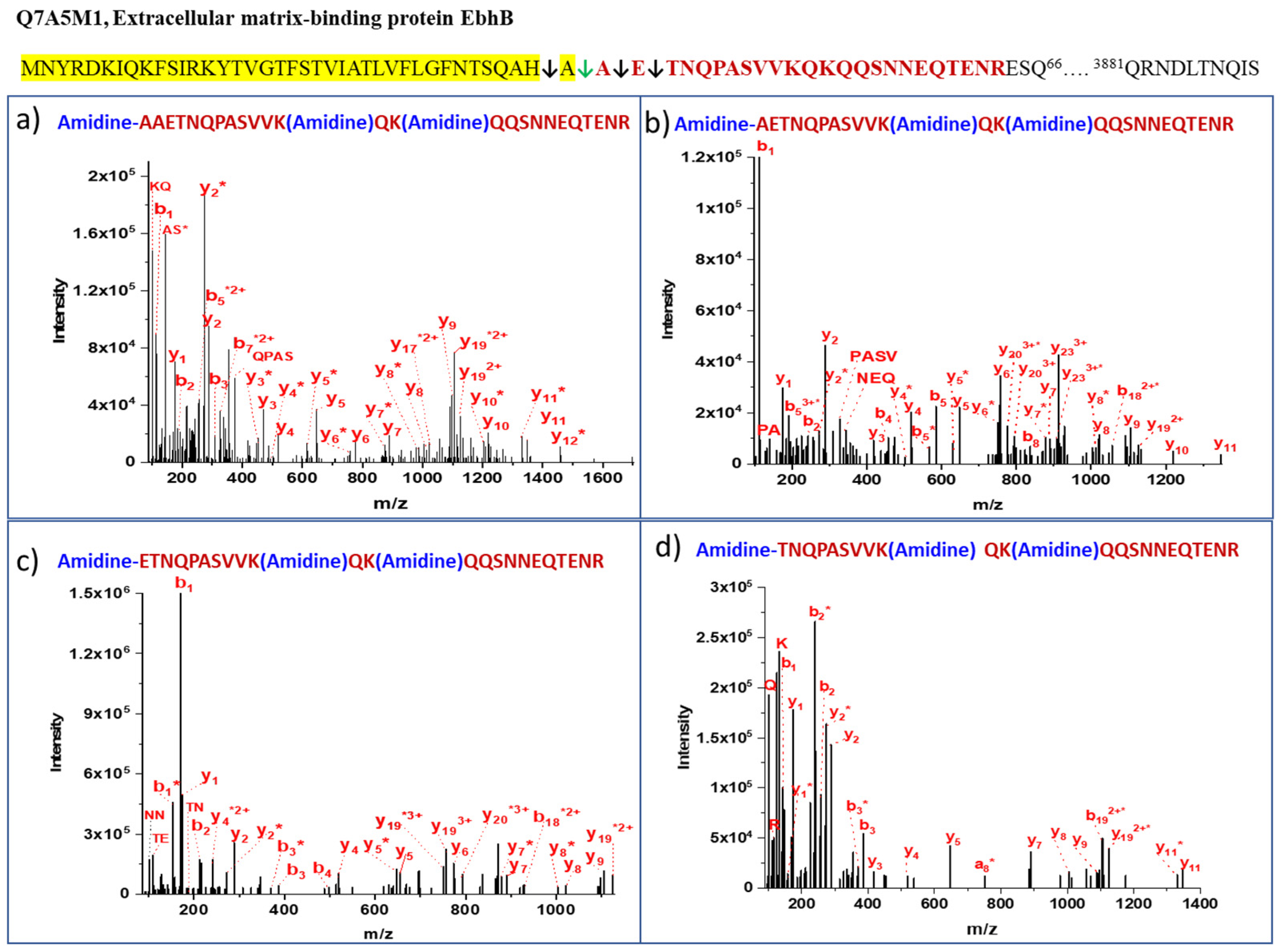 Proteomes 11 00008 g002