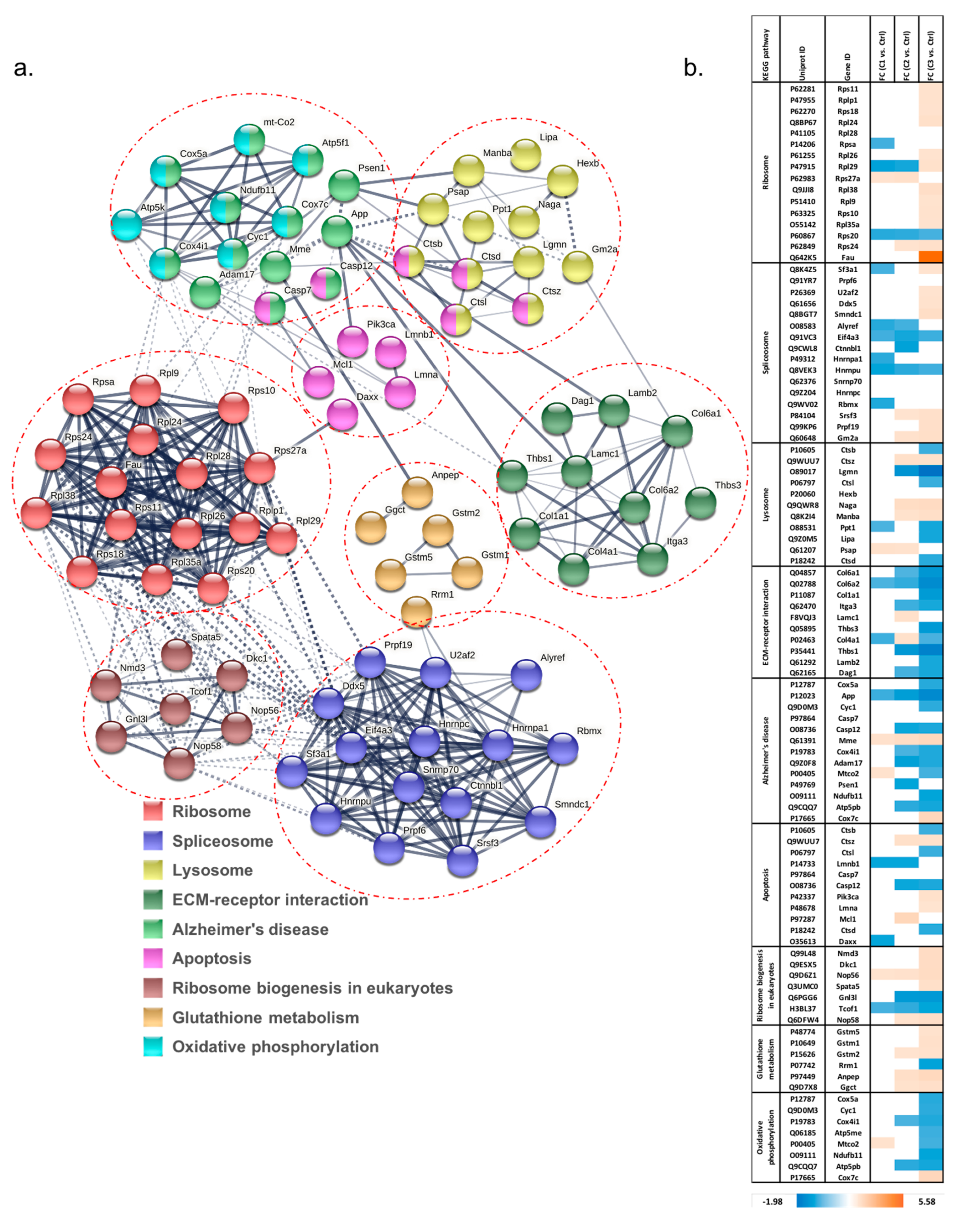 Proteomes 11 00012 g005 Proteomes 11 00012 g005