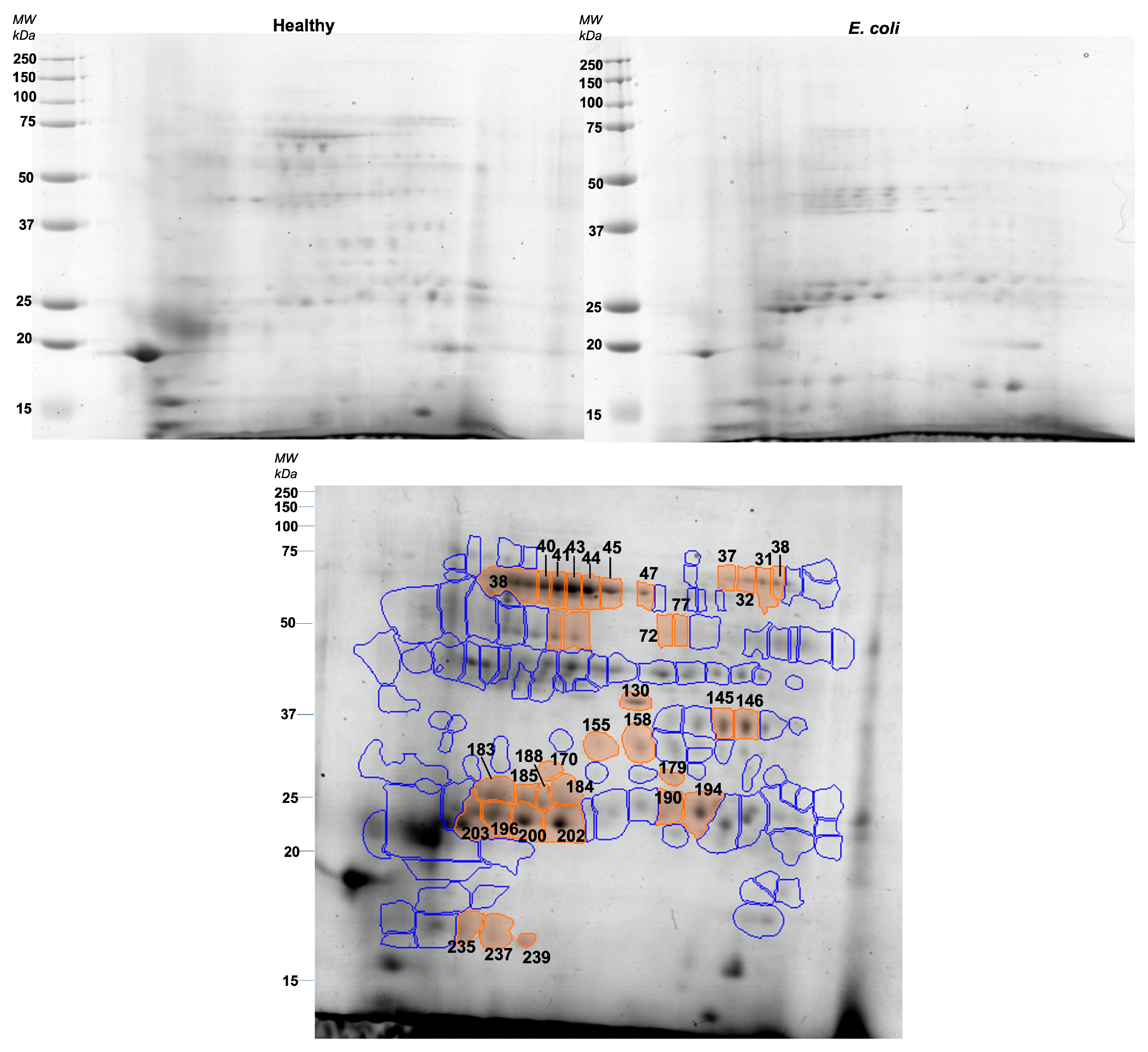 Proteomes 11 00014 g002