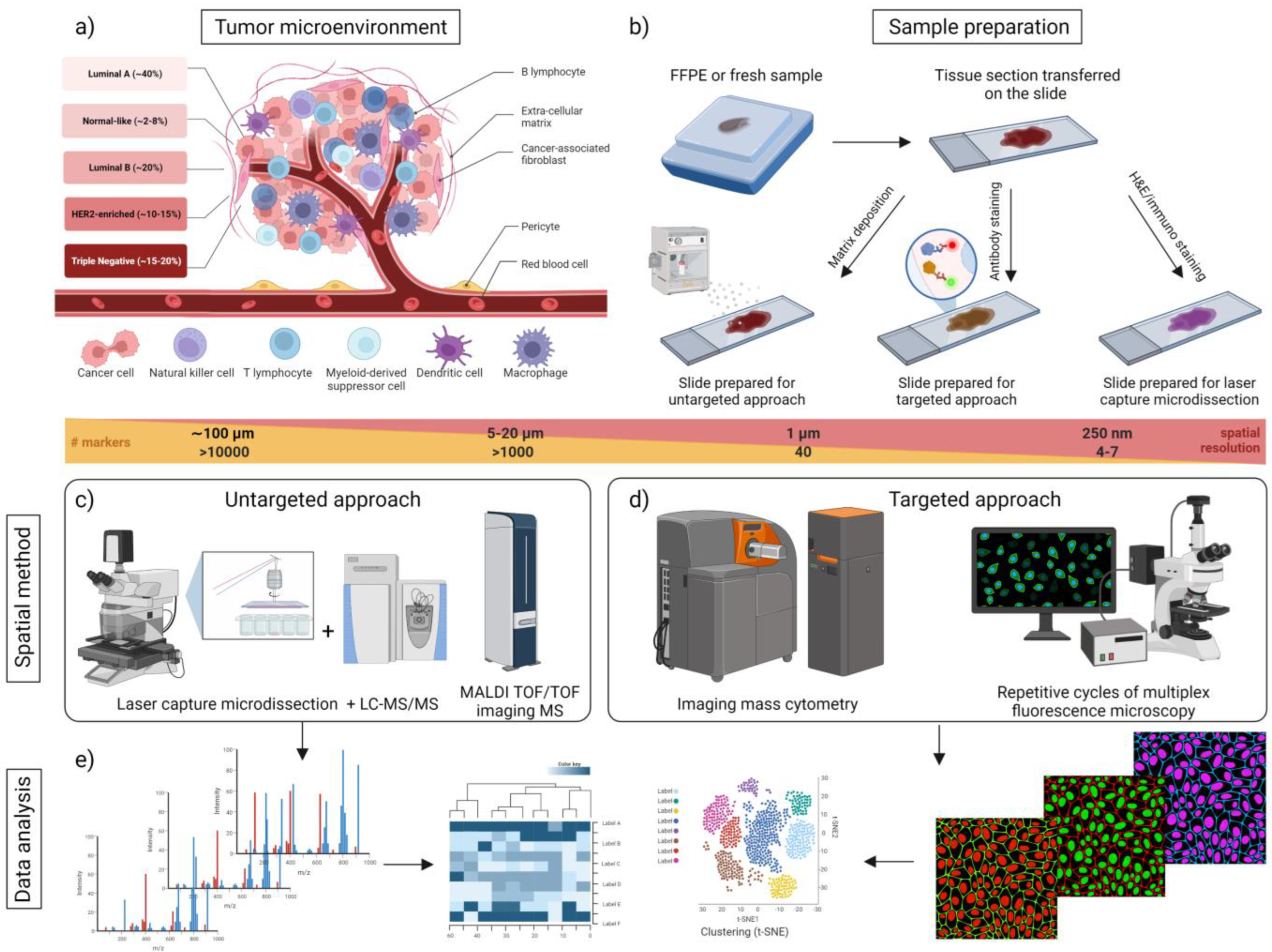 Proteomes 11 00017 g001 Proteomes 11 00017 g001
