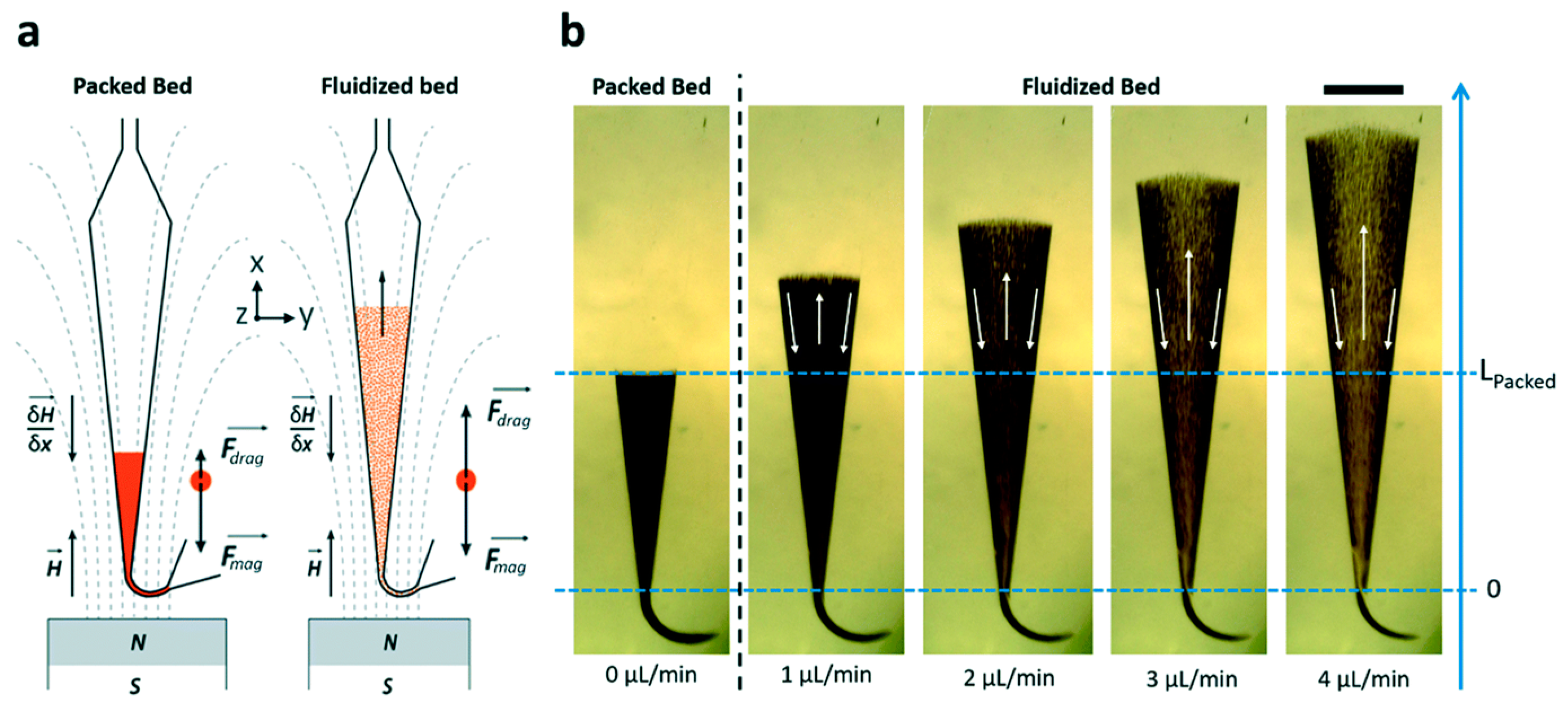 Proteomes 11 00019 g001