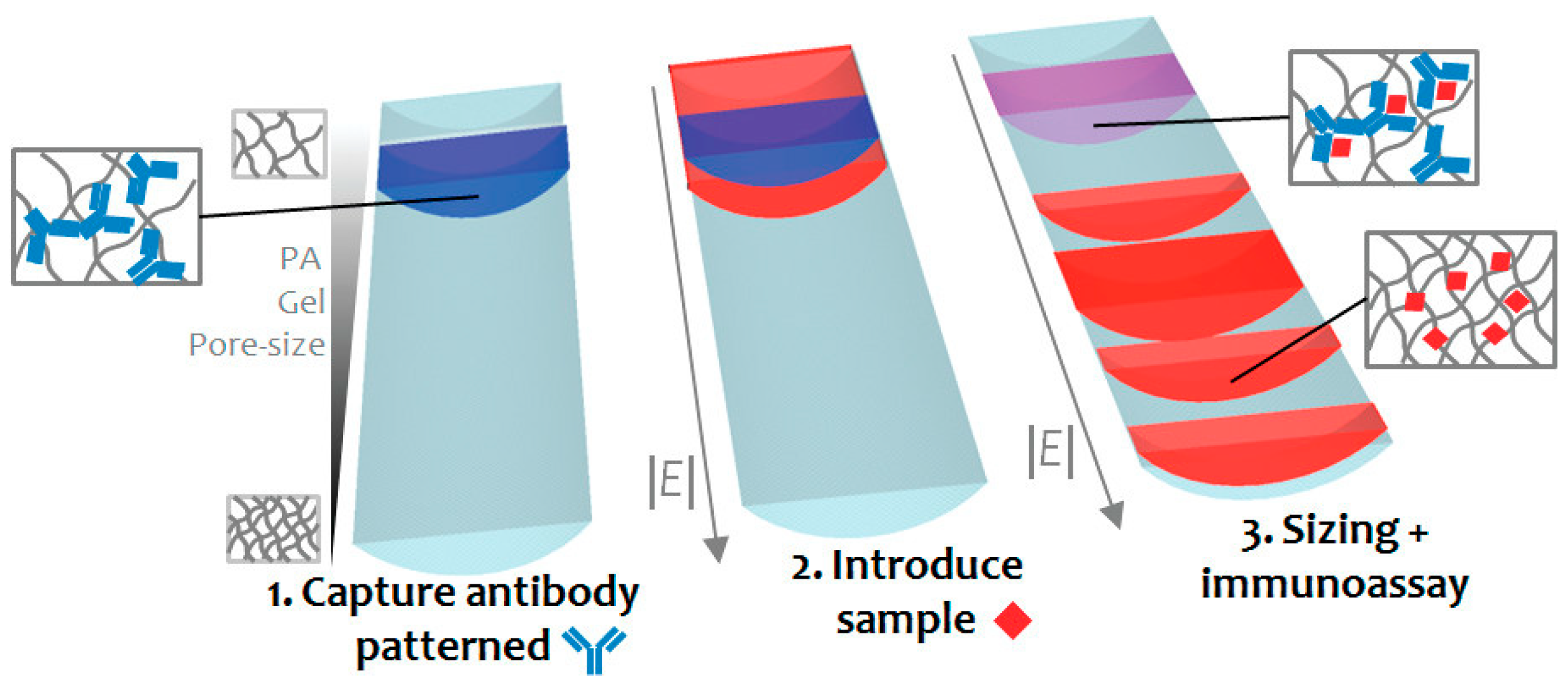 Proteomes 11 00019 g002