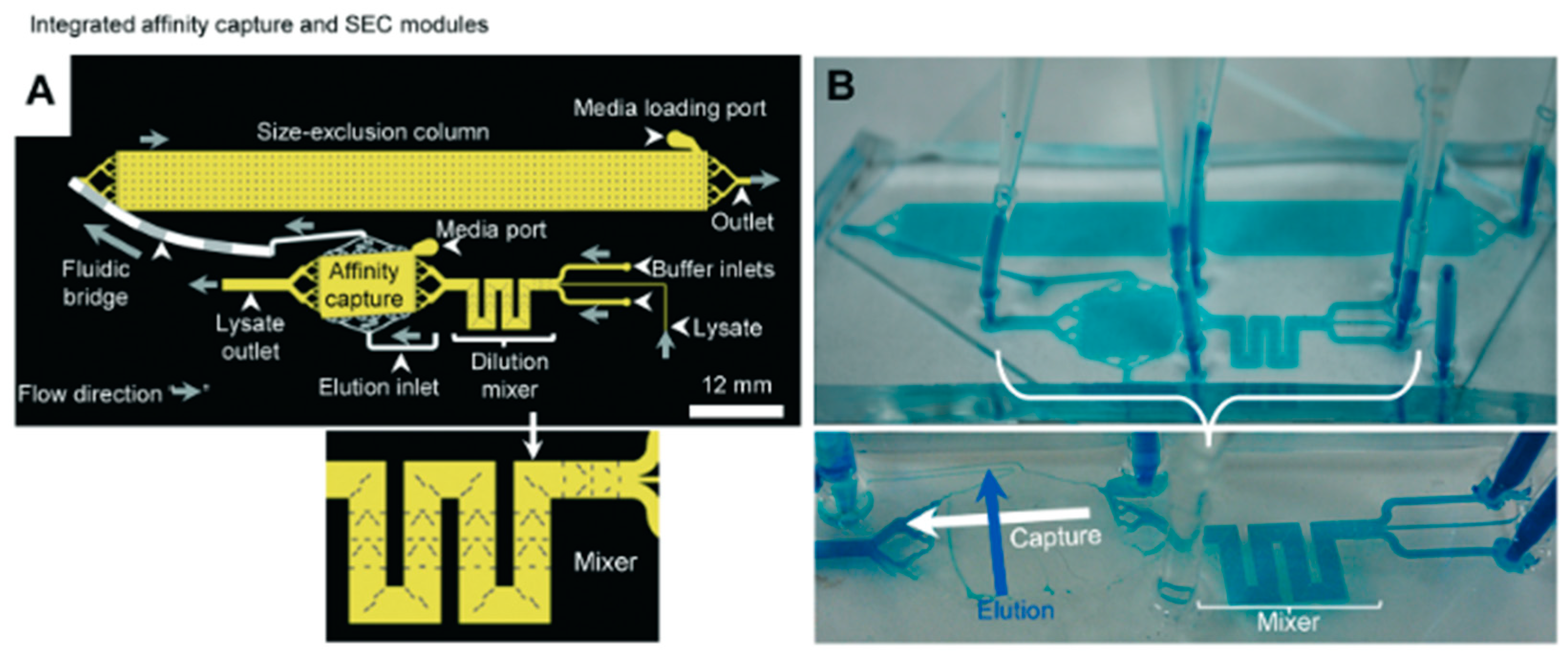 Proteomes 11 00019 g005