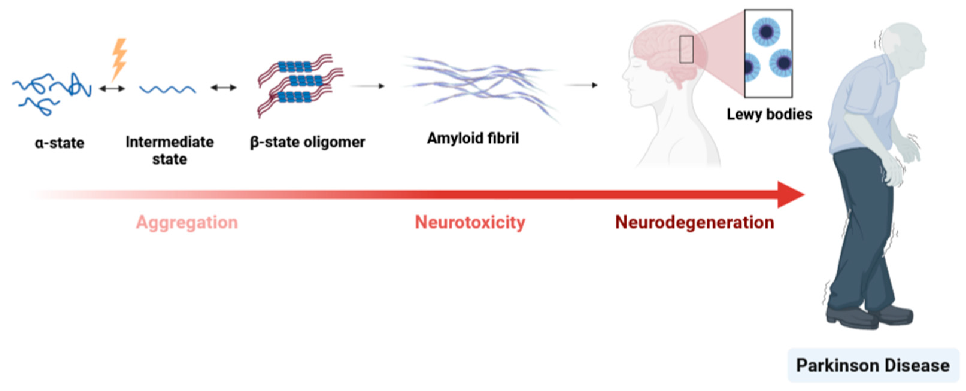 Proteomes 11 00019 g007