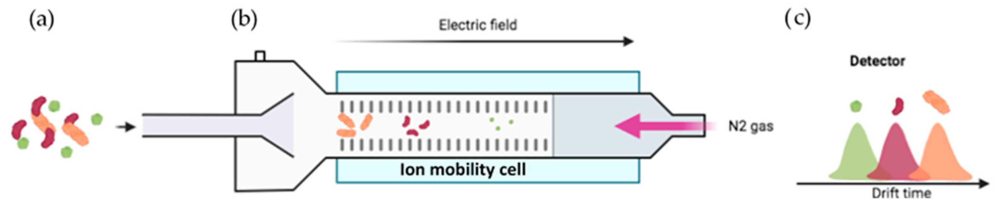 Proteomes 11 00019 g011