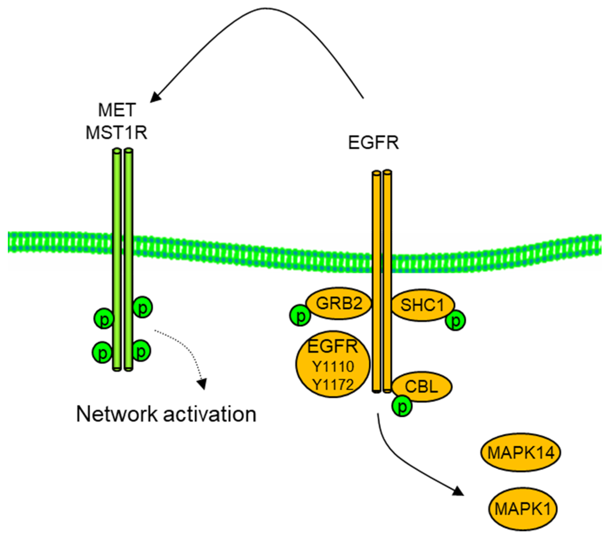Proteomes 11 00020 g005 Proteomes 11 00020 g005