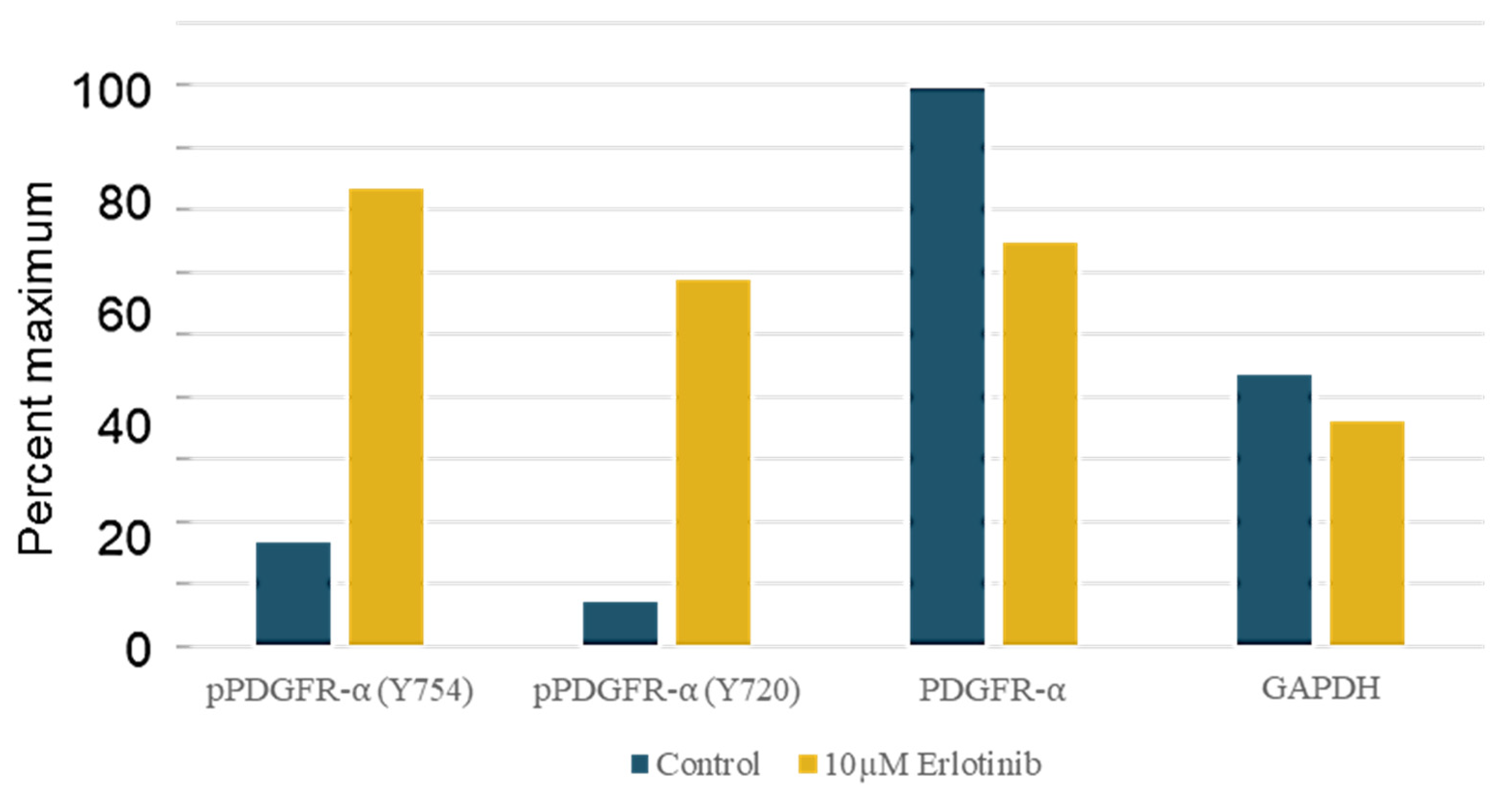 Proteomes 11 00020 g006 Proteomes 11 00020 g006