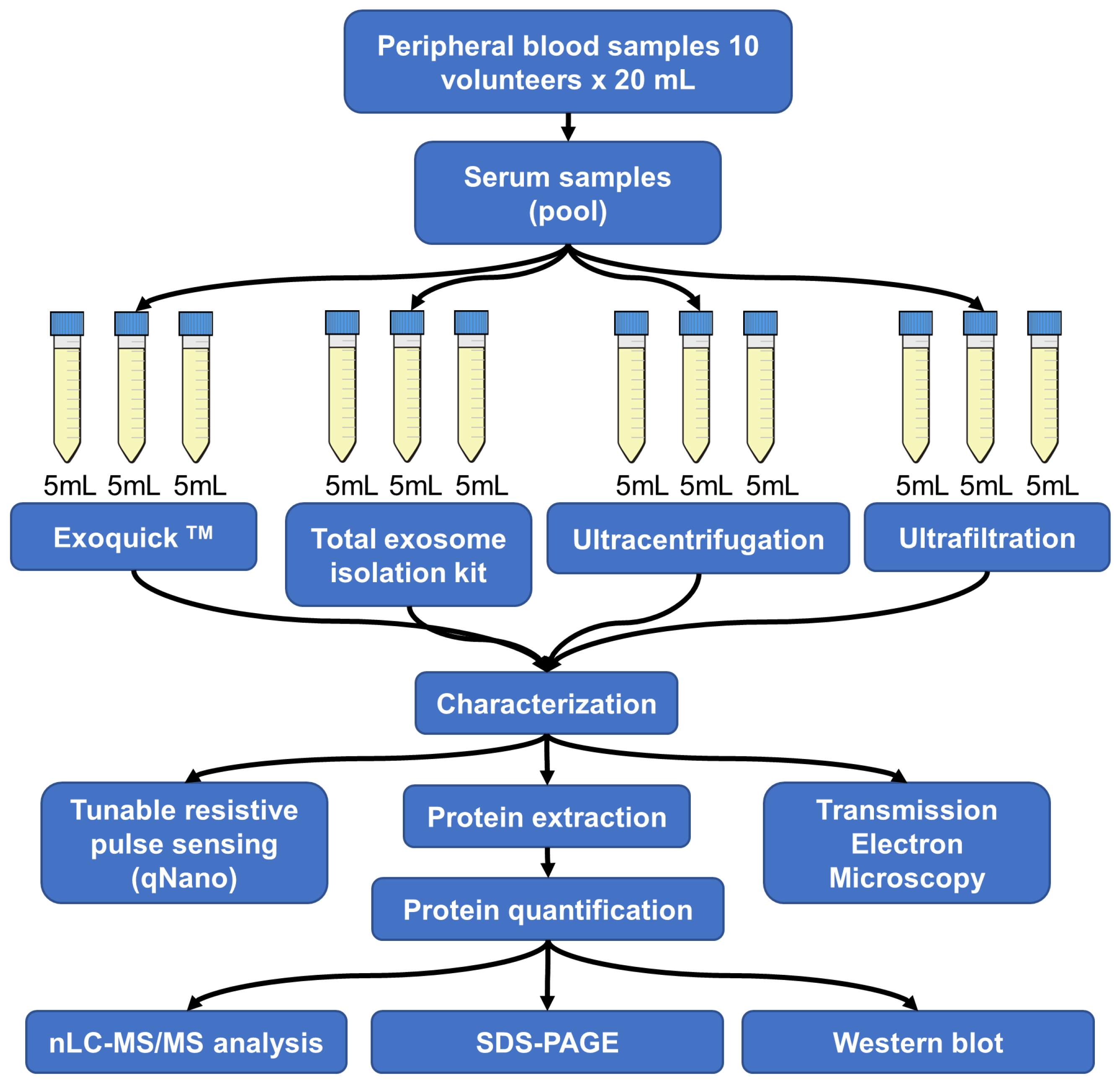 Proteomes 11 00023 g001 Proteomes 11 00023 g001
