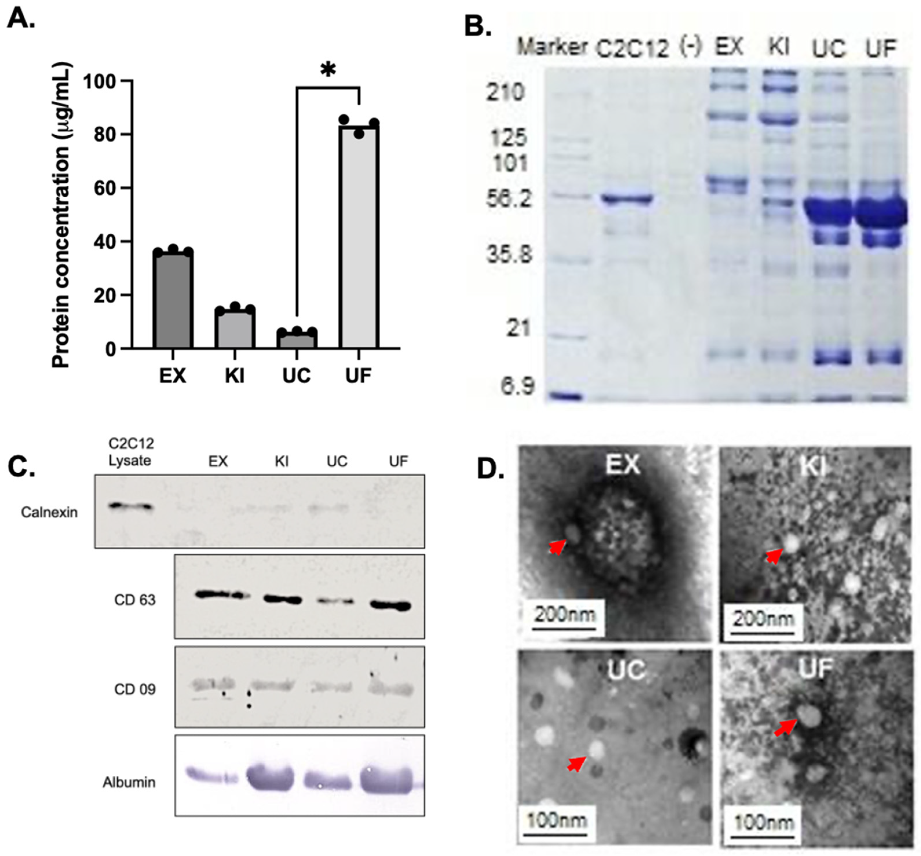 Proteomes 11 00023 g003 Proteomes 11 00023 g003