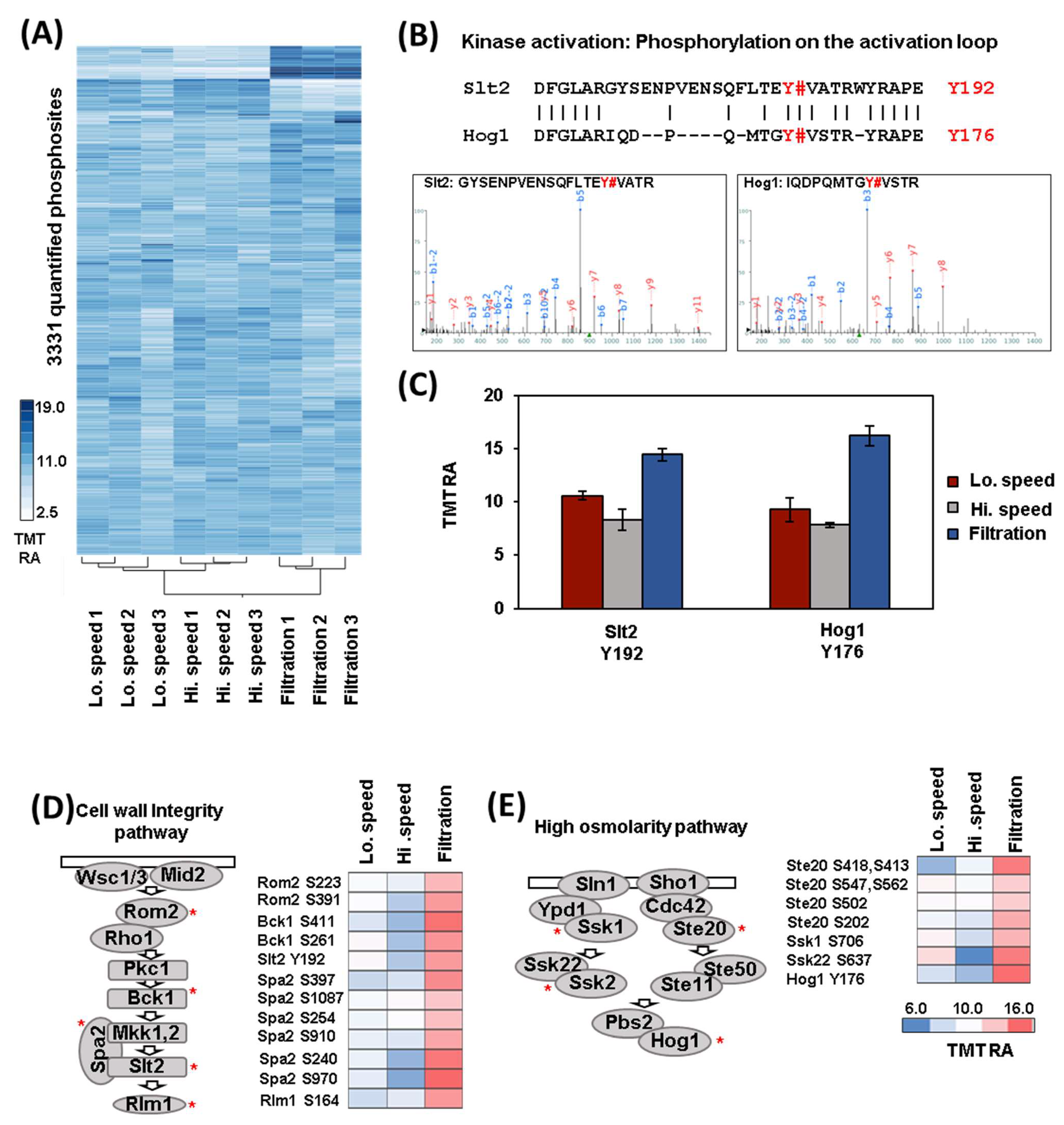 Proteomes 11 00028 g003