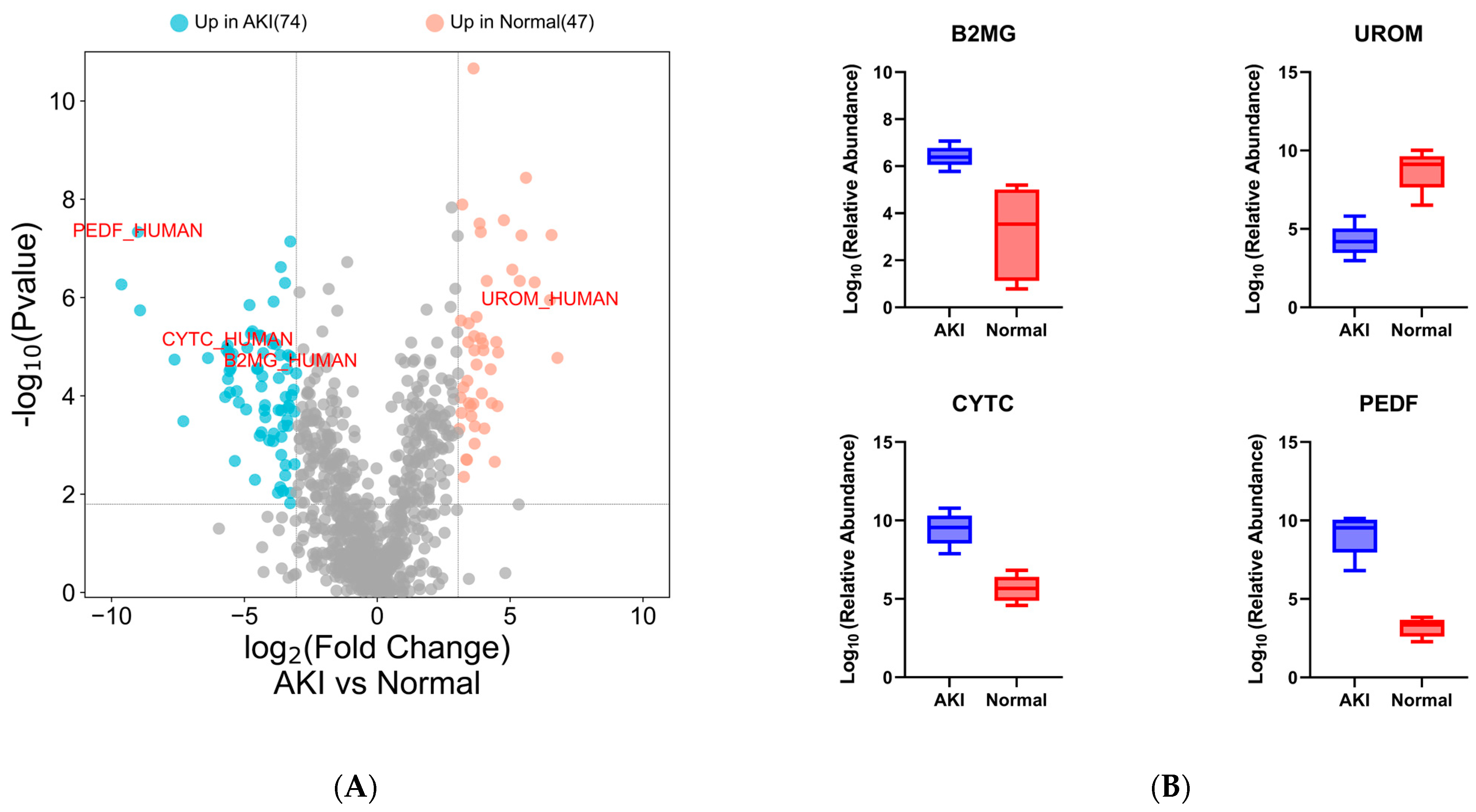 Proteomes 11 00029 g004a Proteomes 11 00029 g004a
