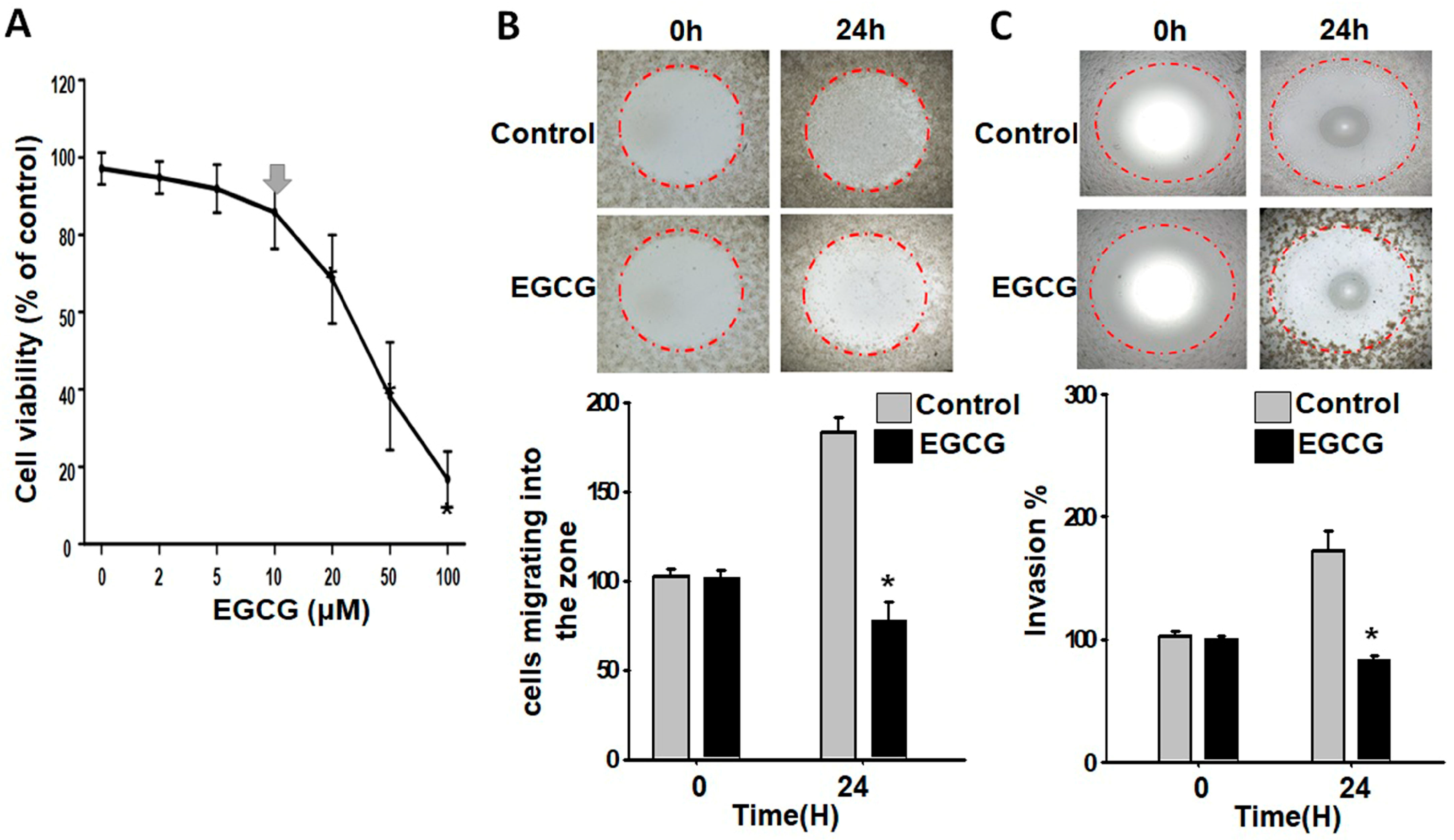 Proteomes 11 00031 g001