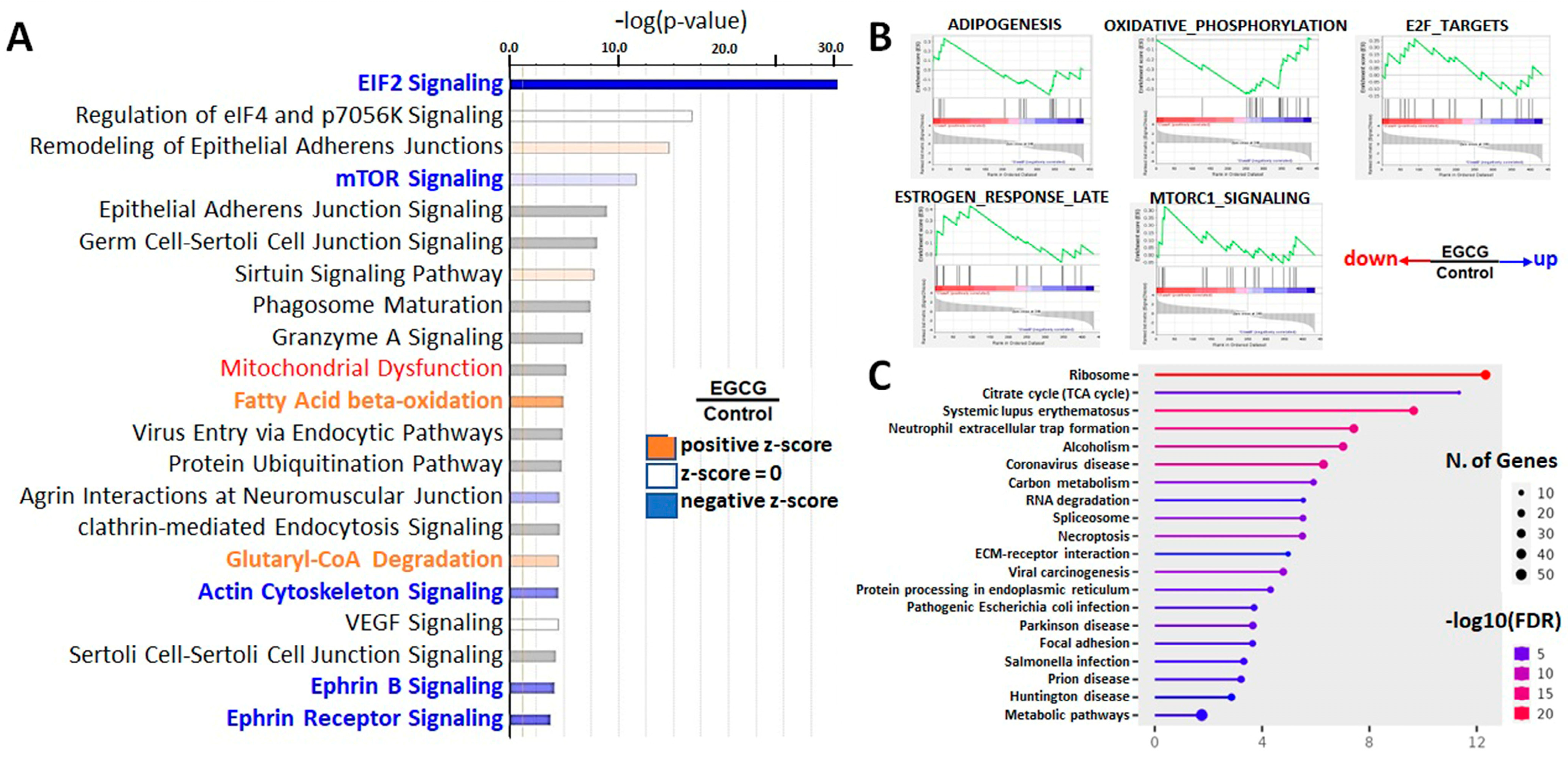 Proteomes 11 00031 g003
