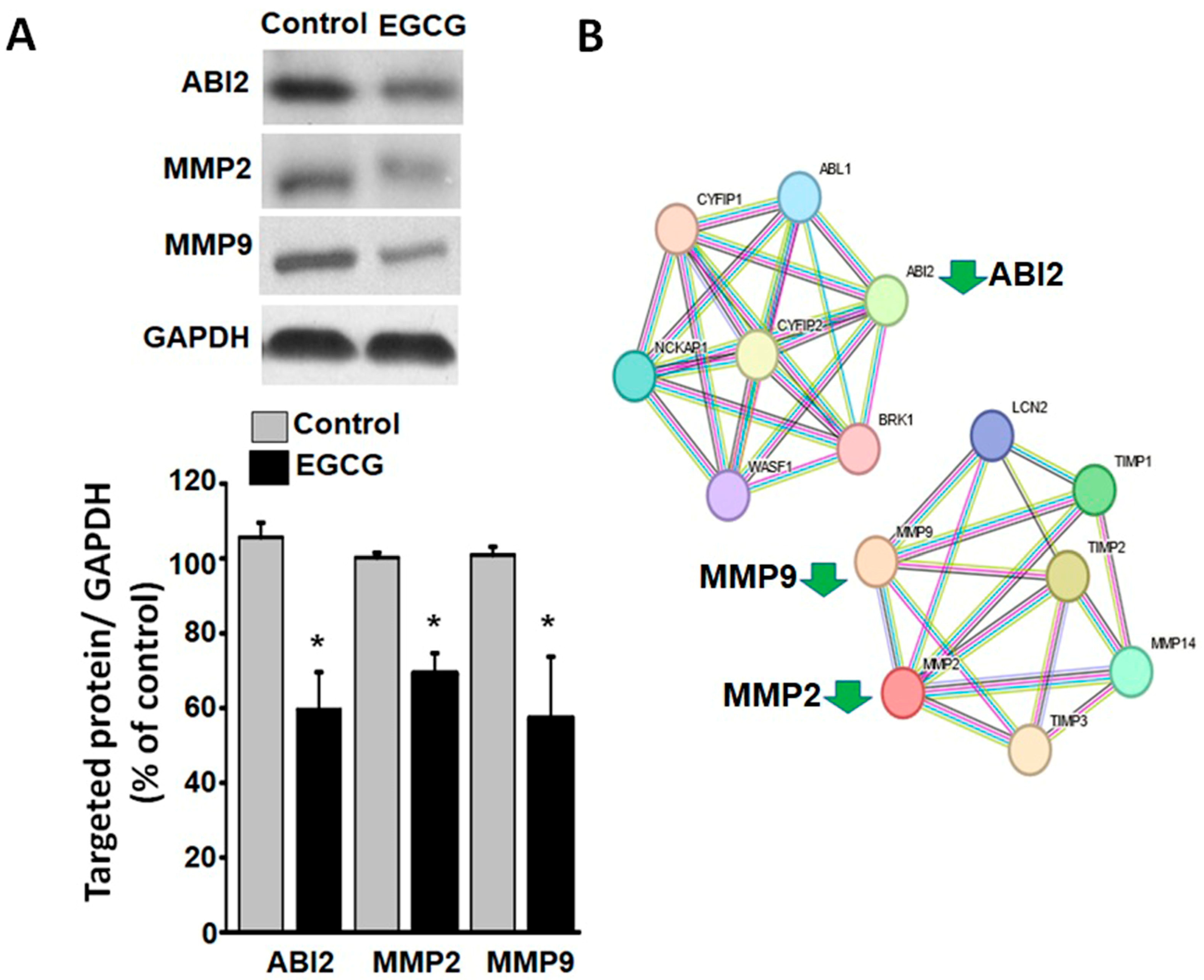 Proteomes 11 00031 g005
