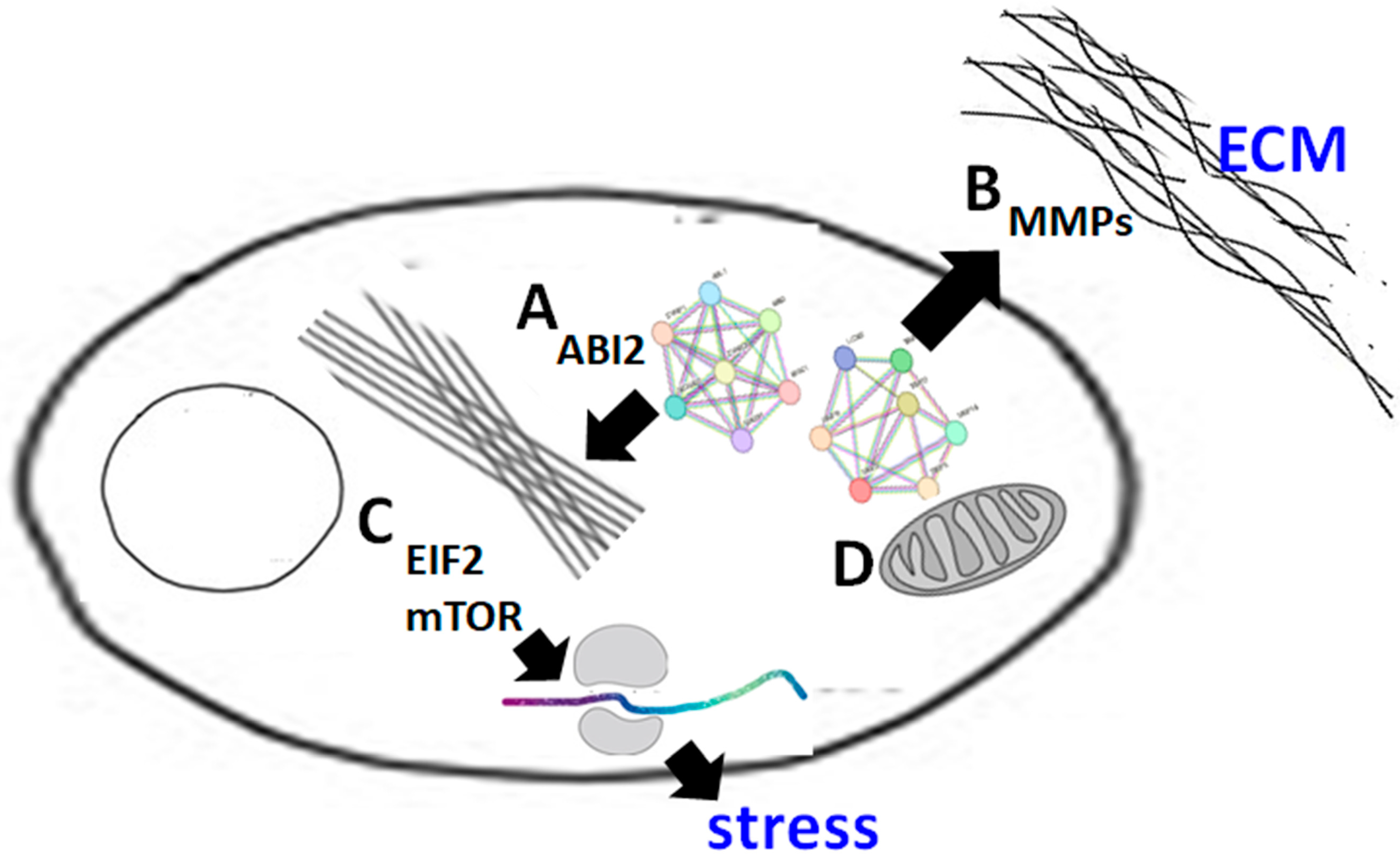 Proteomes 11 00031 g006