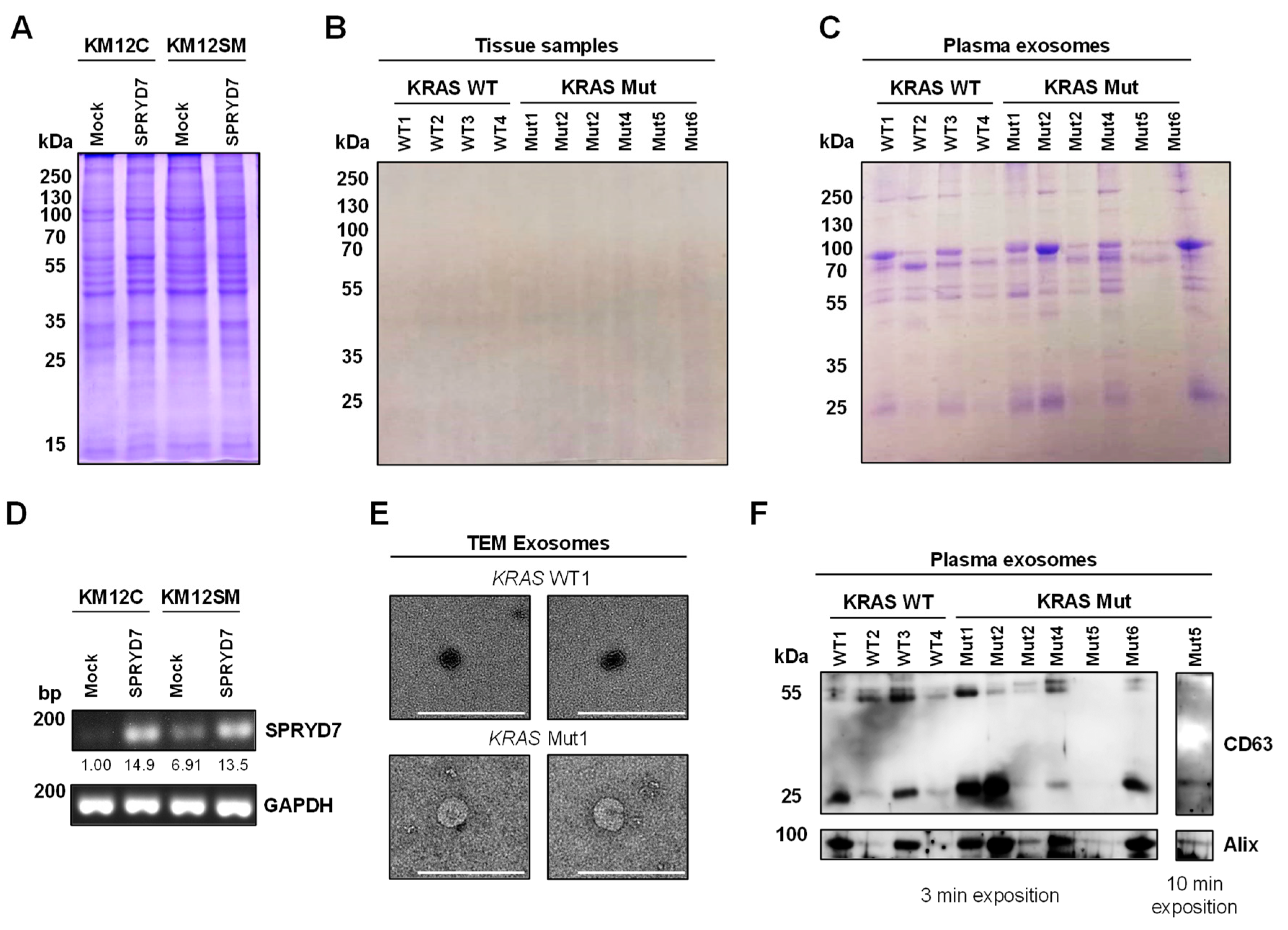 Proteomes 11 00035 g002 Proteomes 11 00035 g002