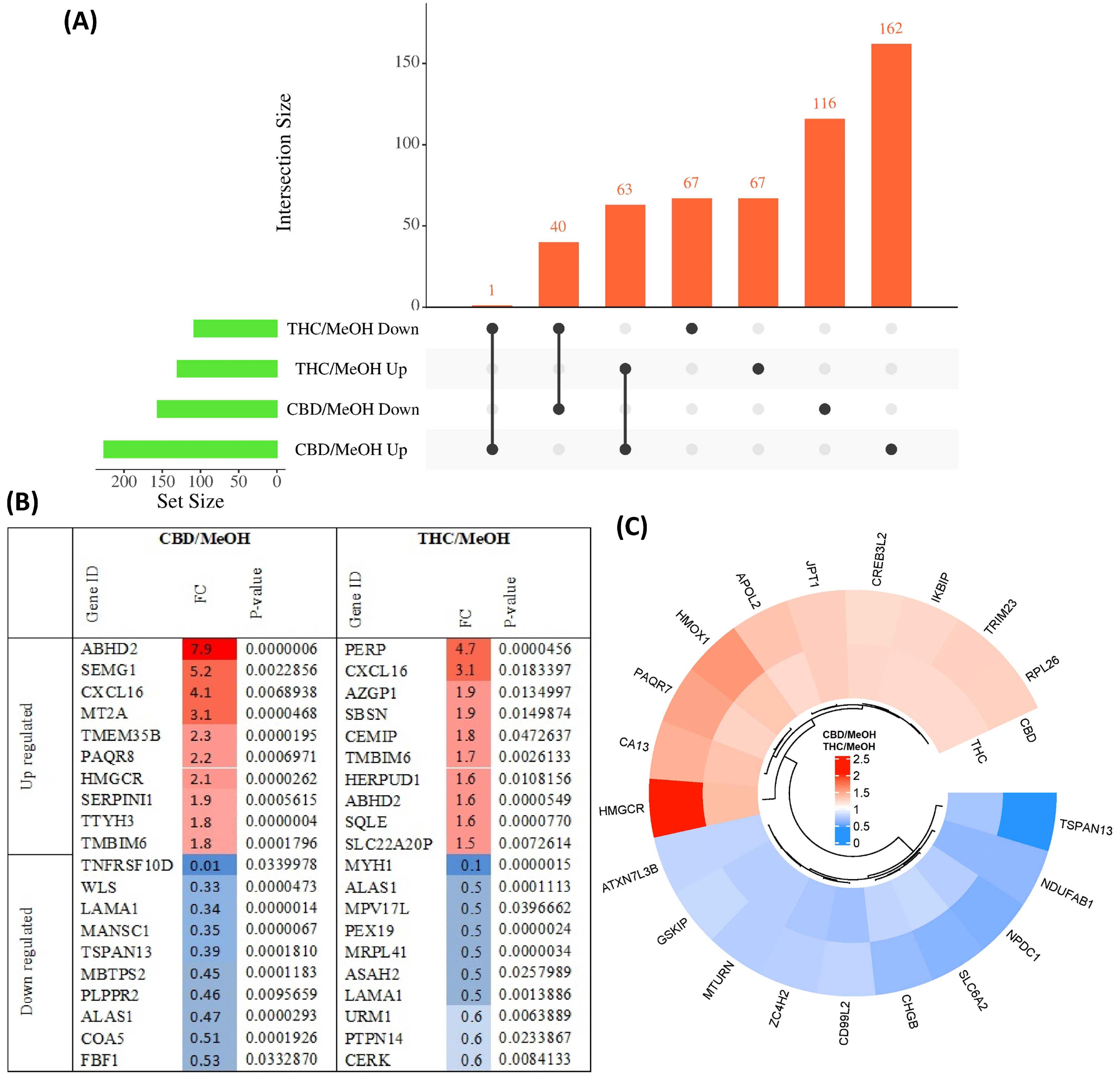 Proteomes 11 00036 g002 Proteomes 11 00036 g002