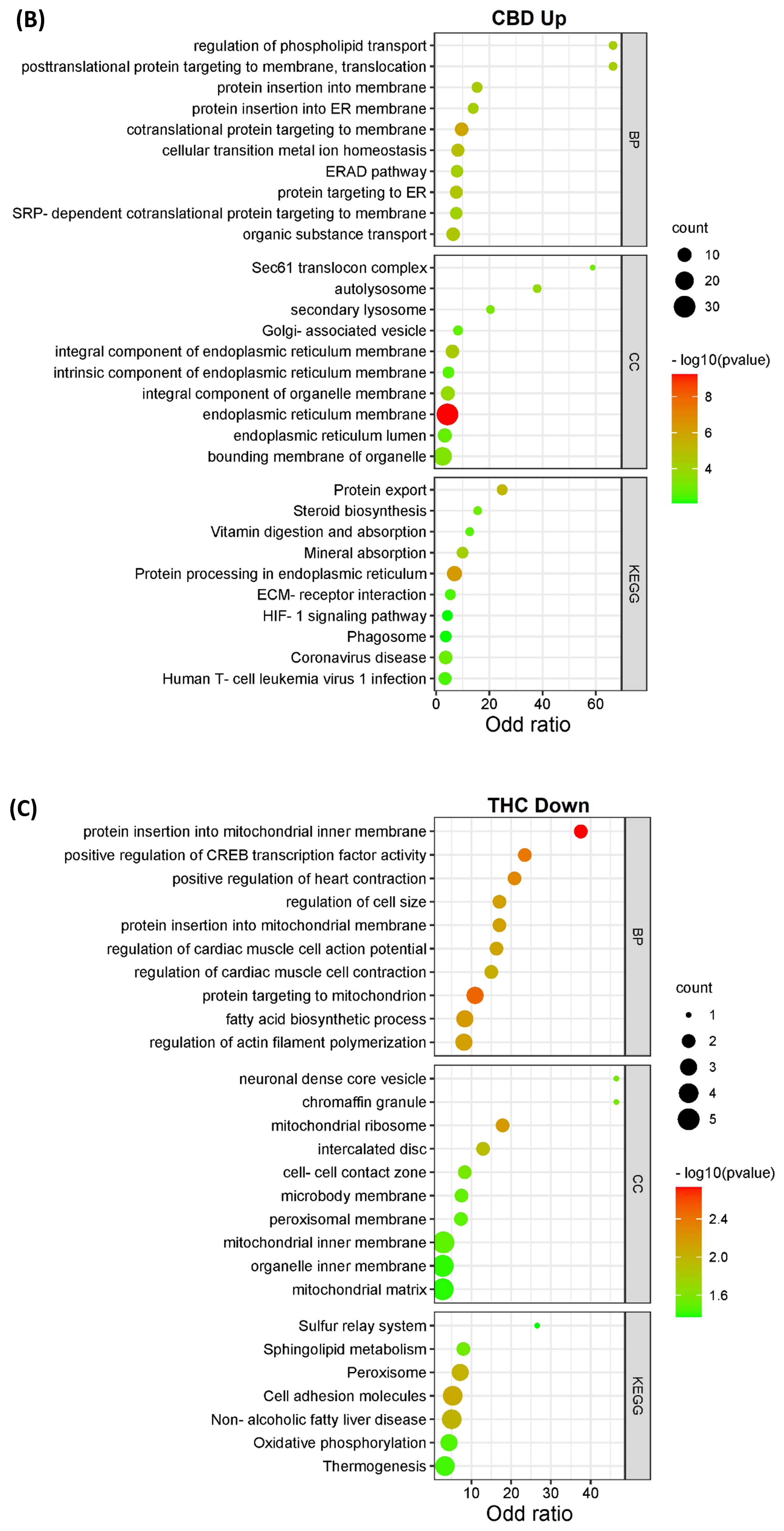 Proteomes 11 00036 g003b Proteomes 11 00036 g003b
